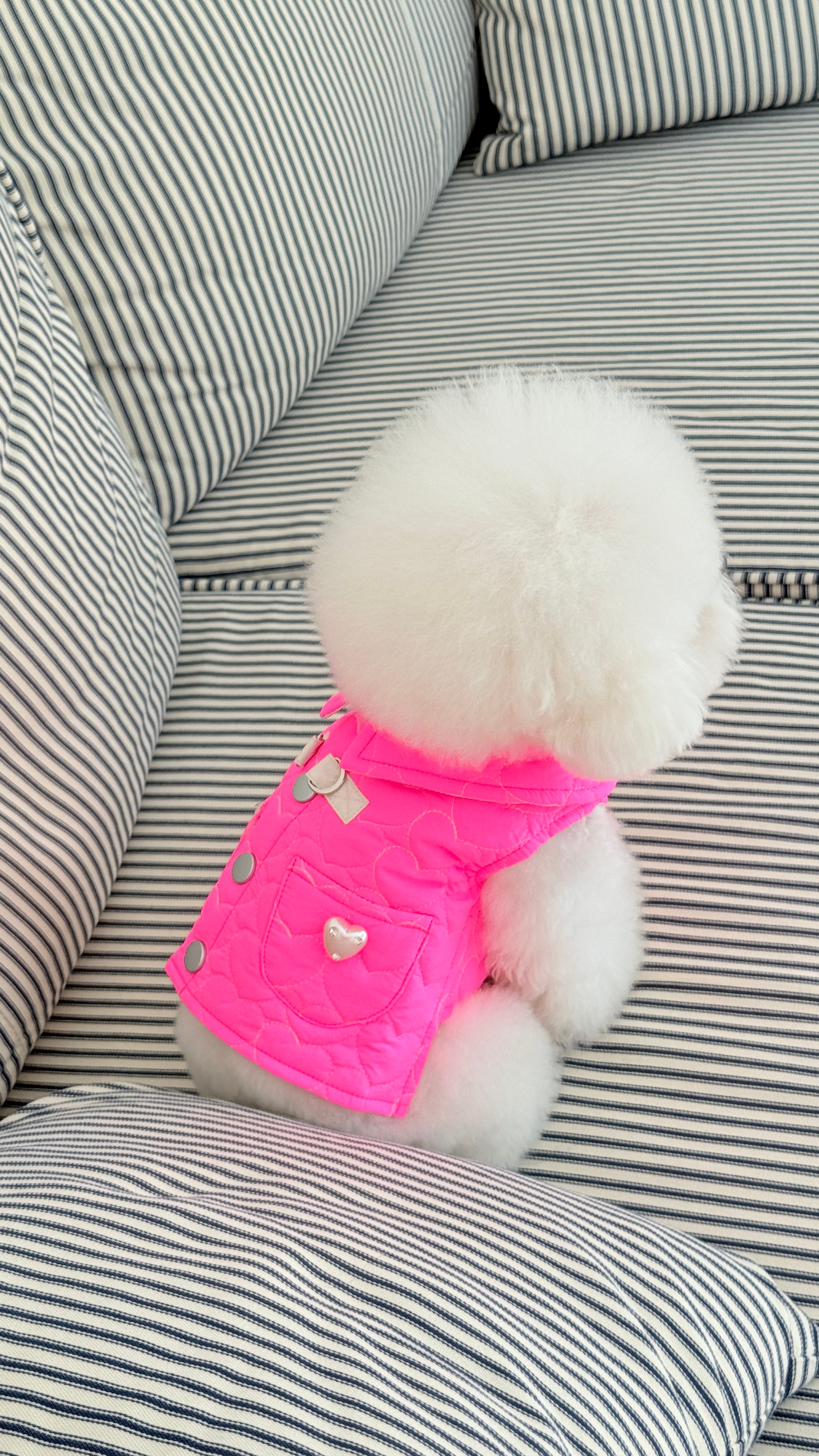 Quilted Water-Resistant Pink Vest