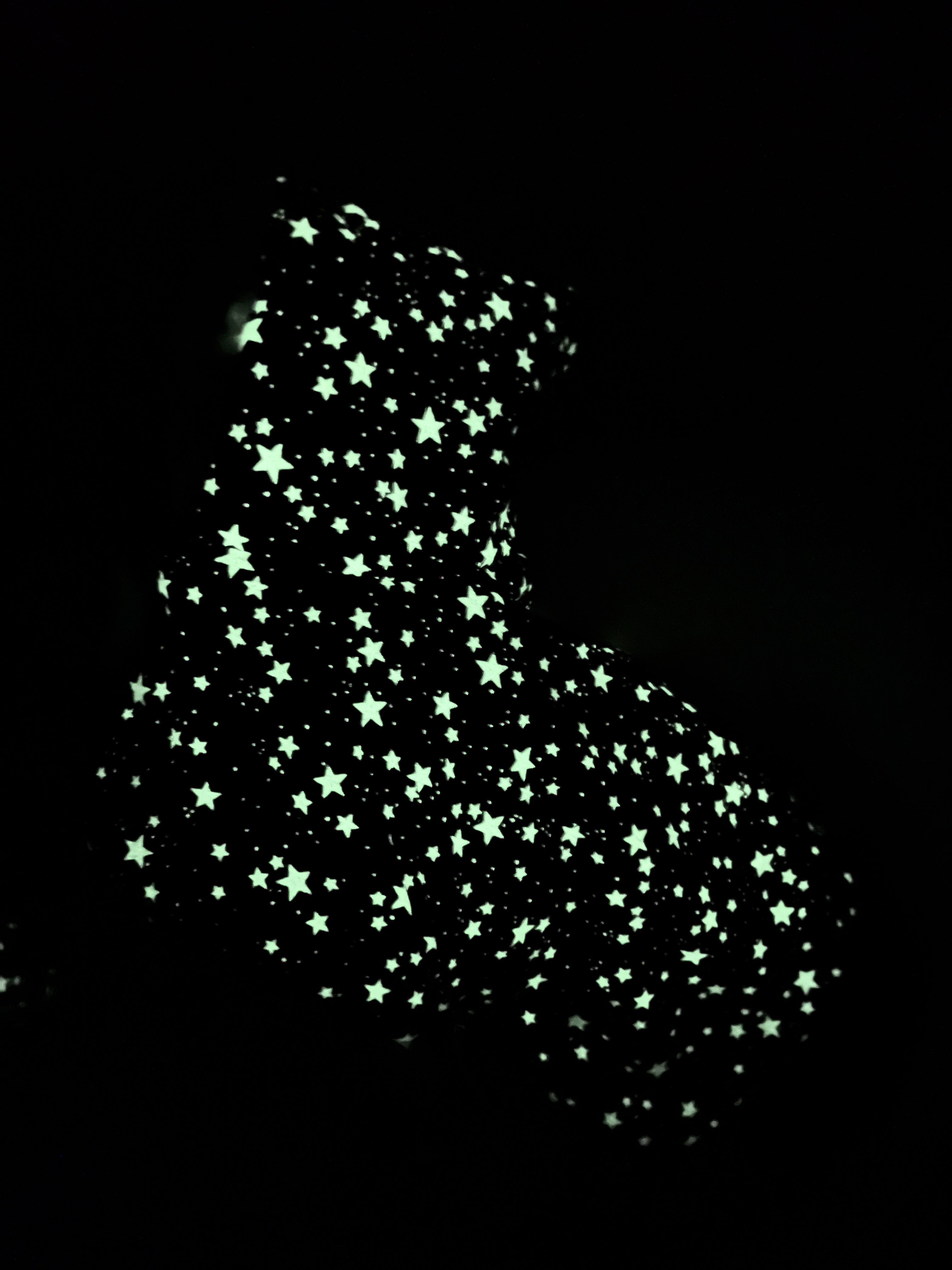 Night Glow Winter Cape