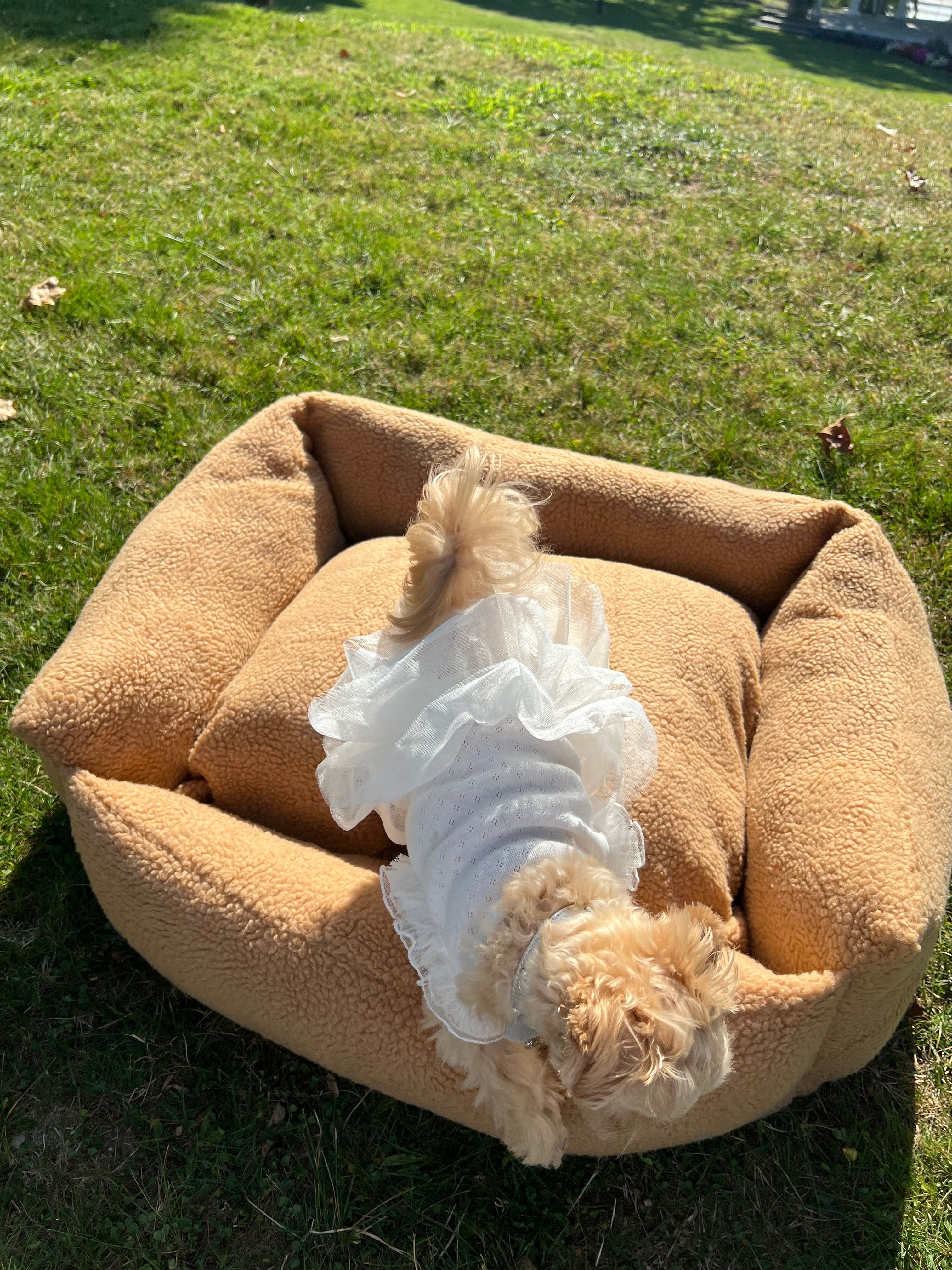Teddy Bear Fuzzy Den