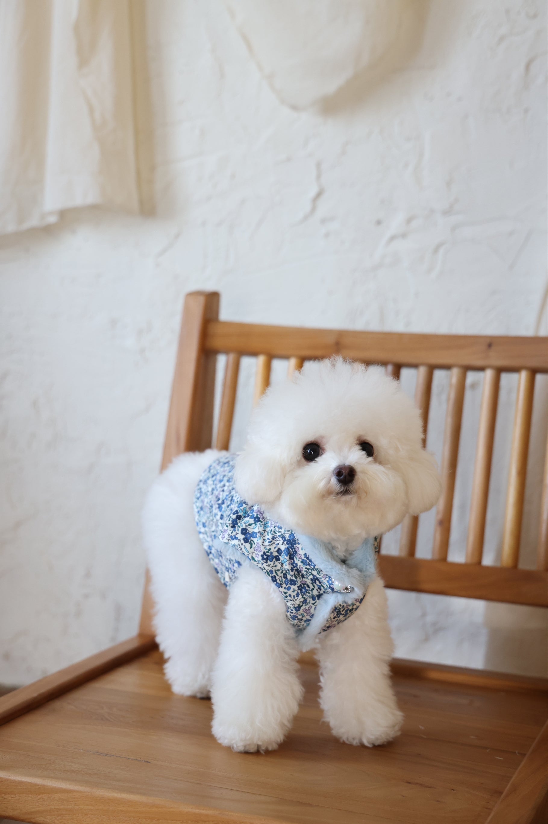 ELSA'S REVERSIBLE FUR
