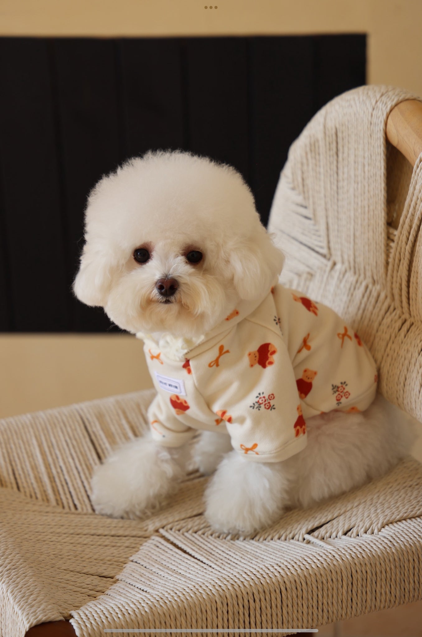 FESTIVE BOW BEAR HOODIE