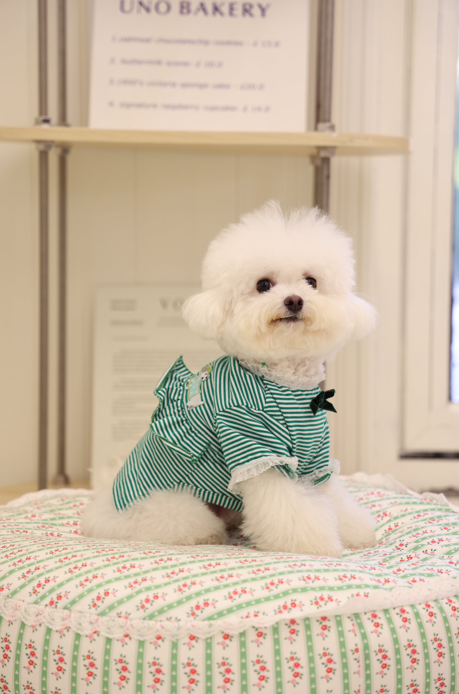 Petal Haven dog bed