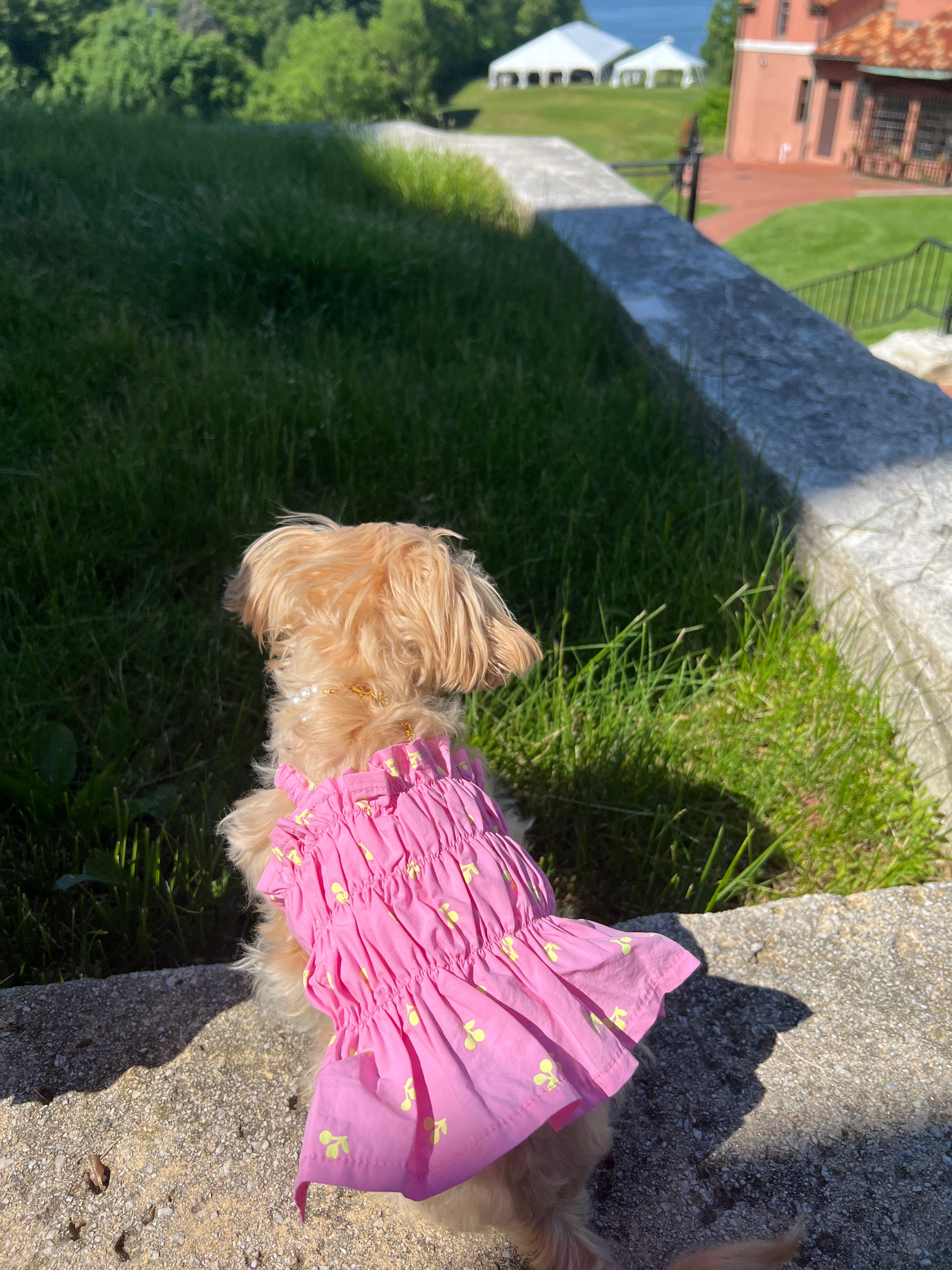 Fluorescent cherry pleated skirt