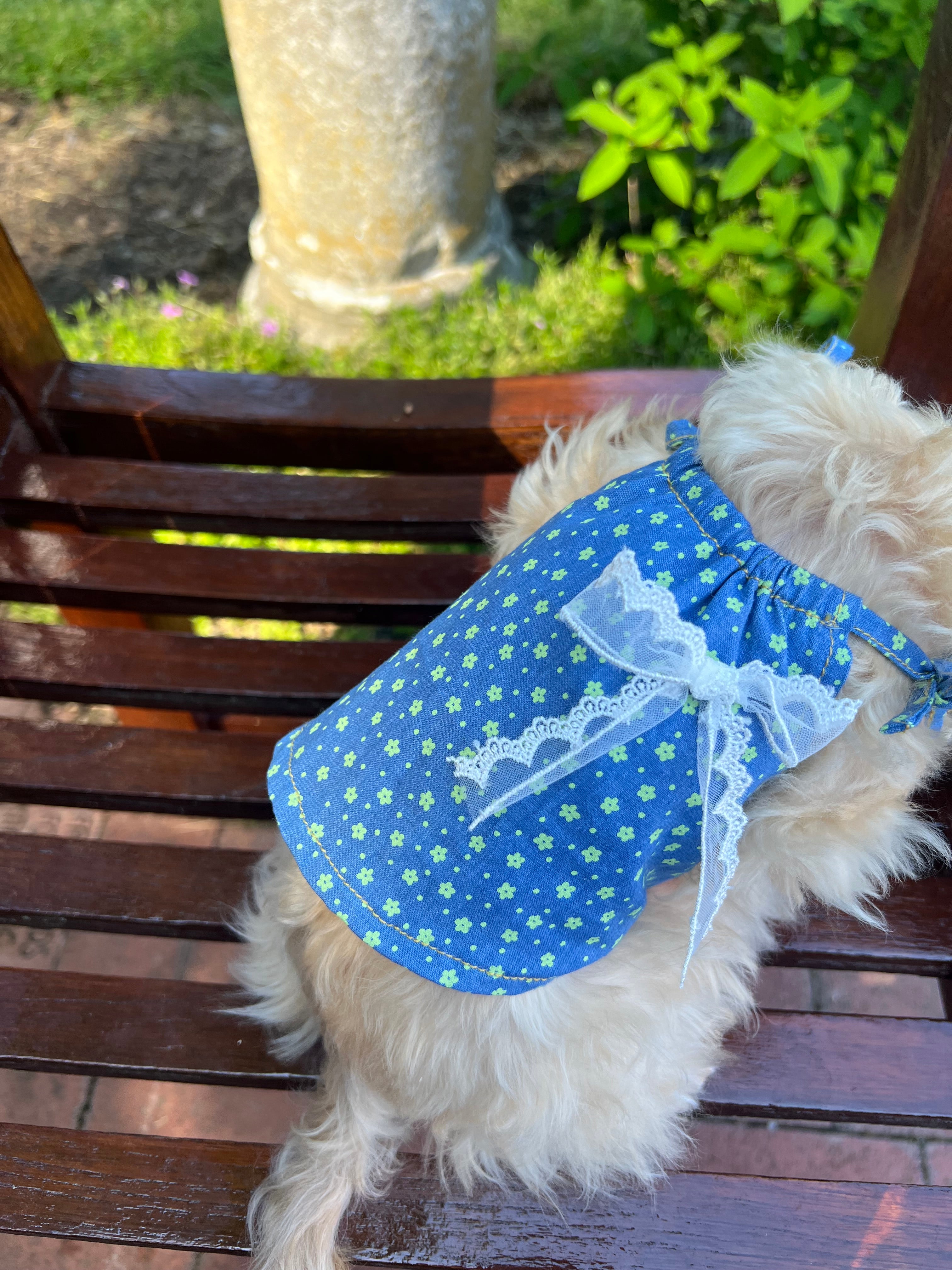 Floral Glow Denim Dress With Lace Bow