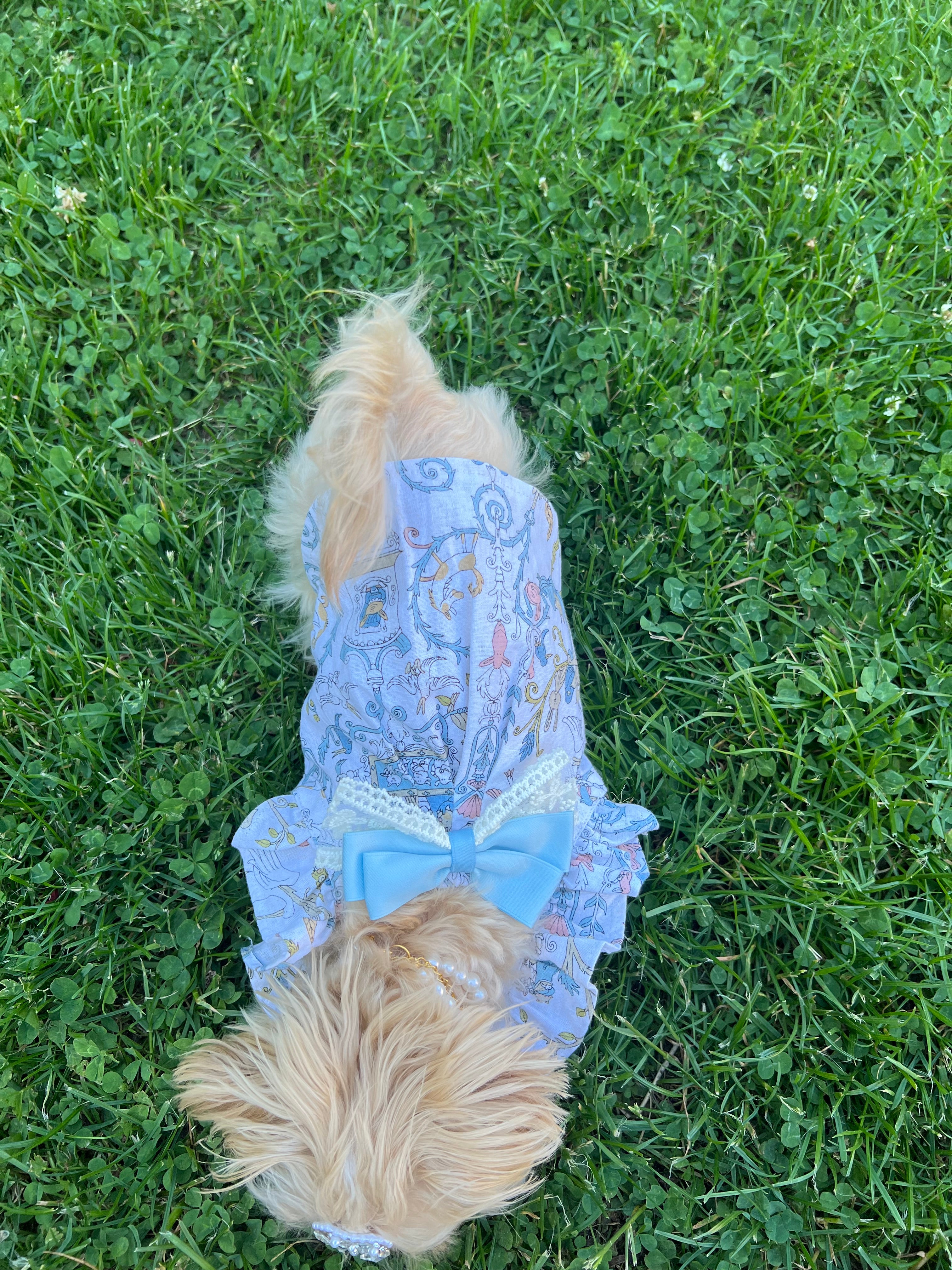 Breeze bliss