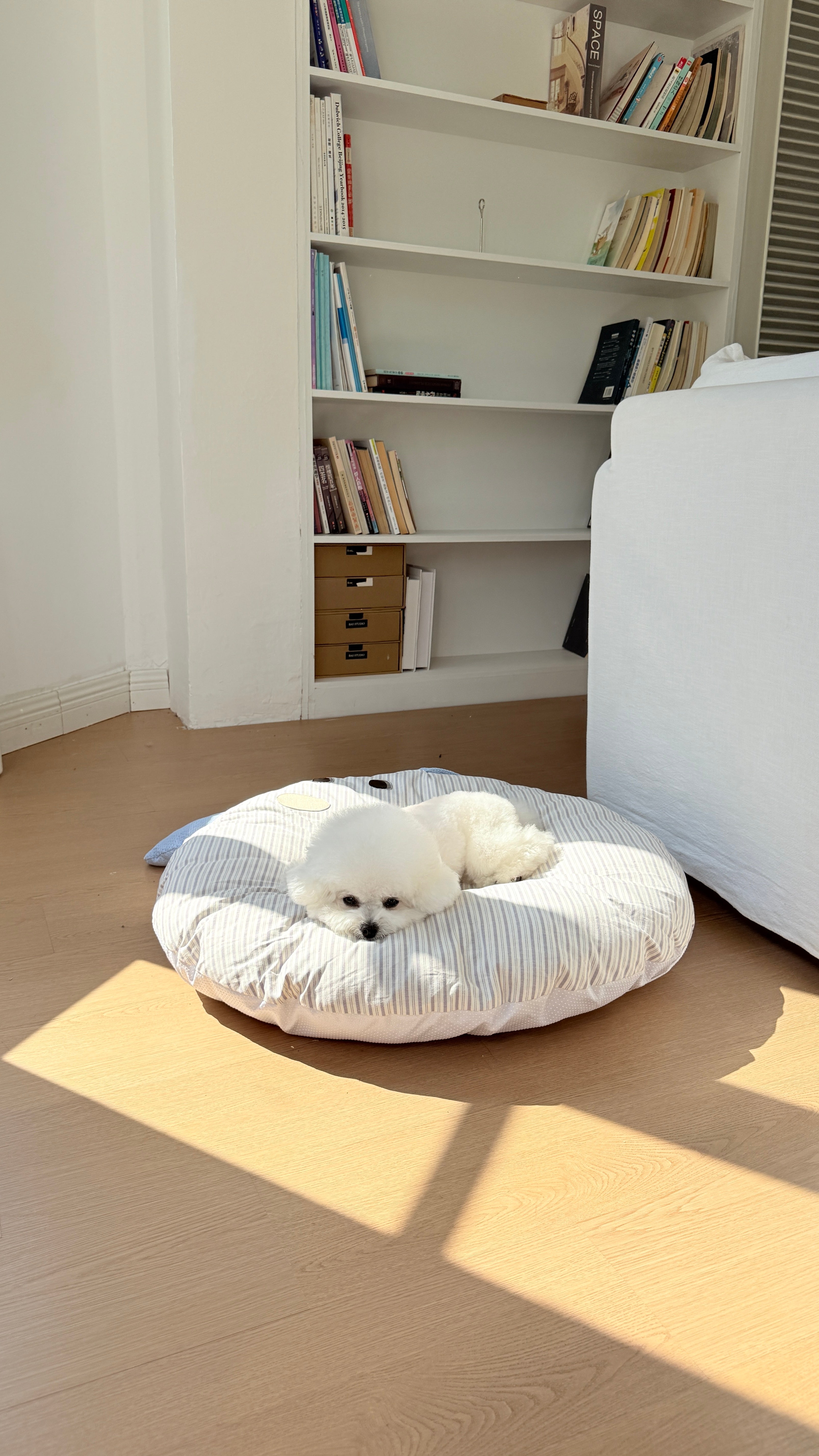 FluffyHead Bed