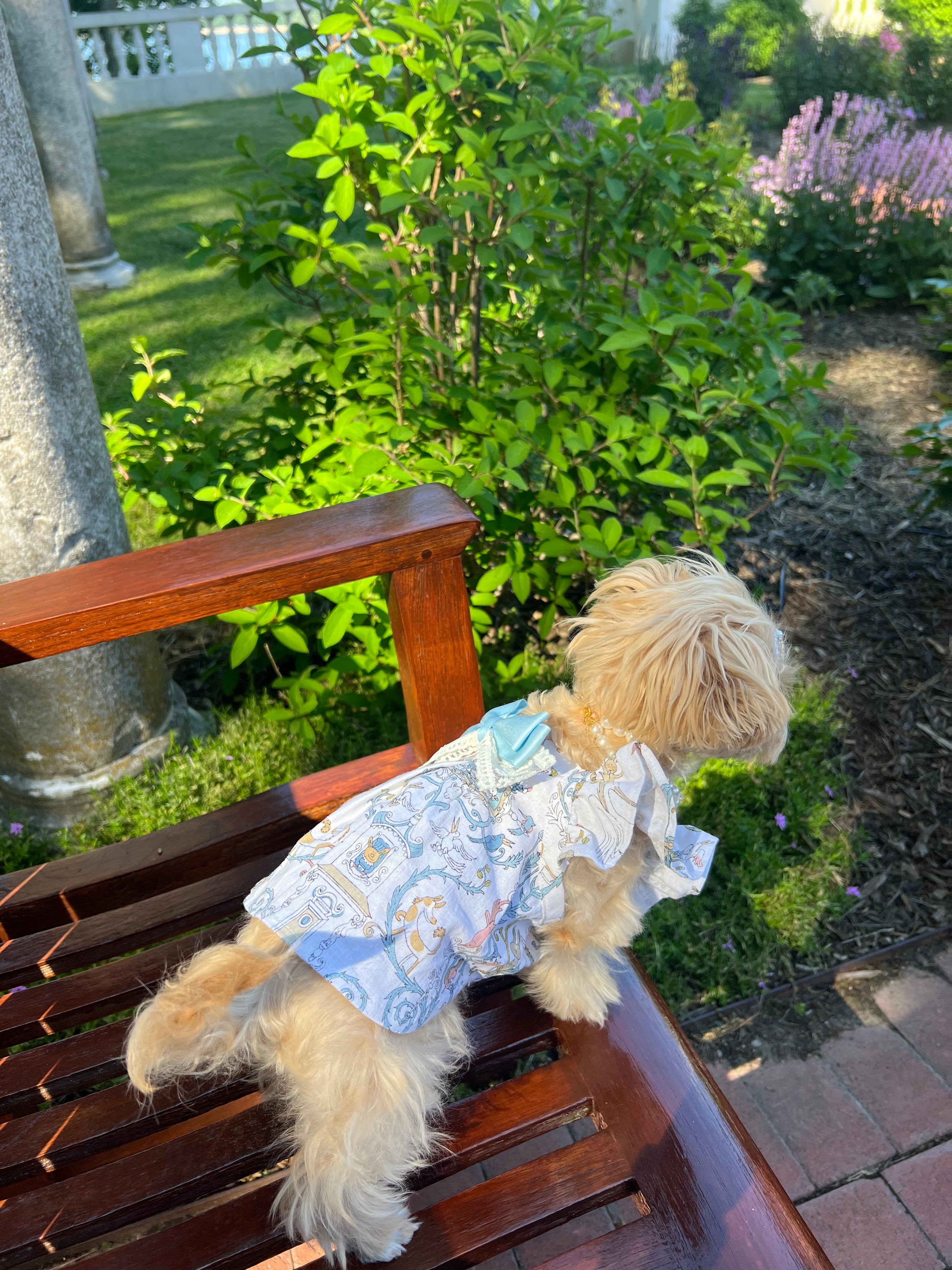 Breeze bliss