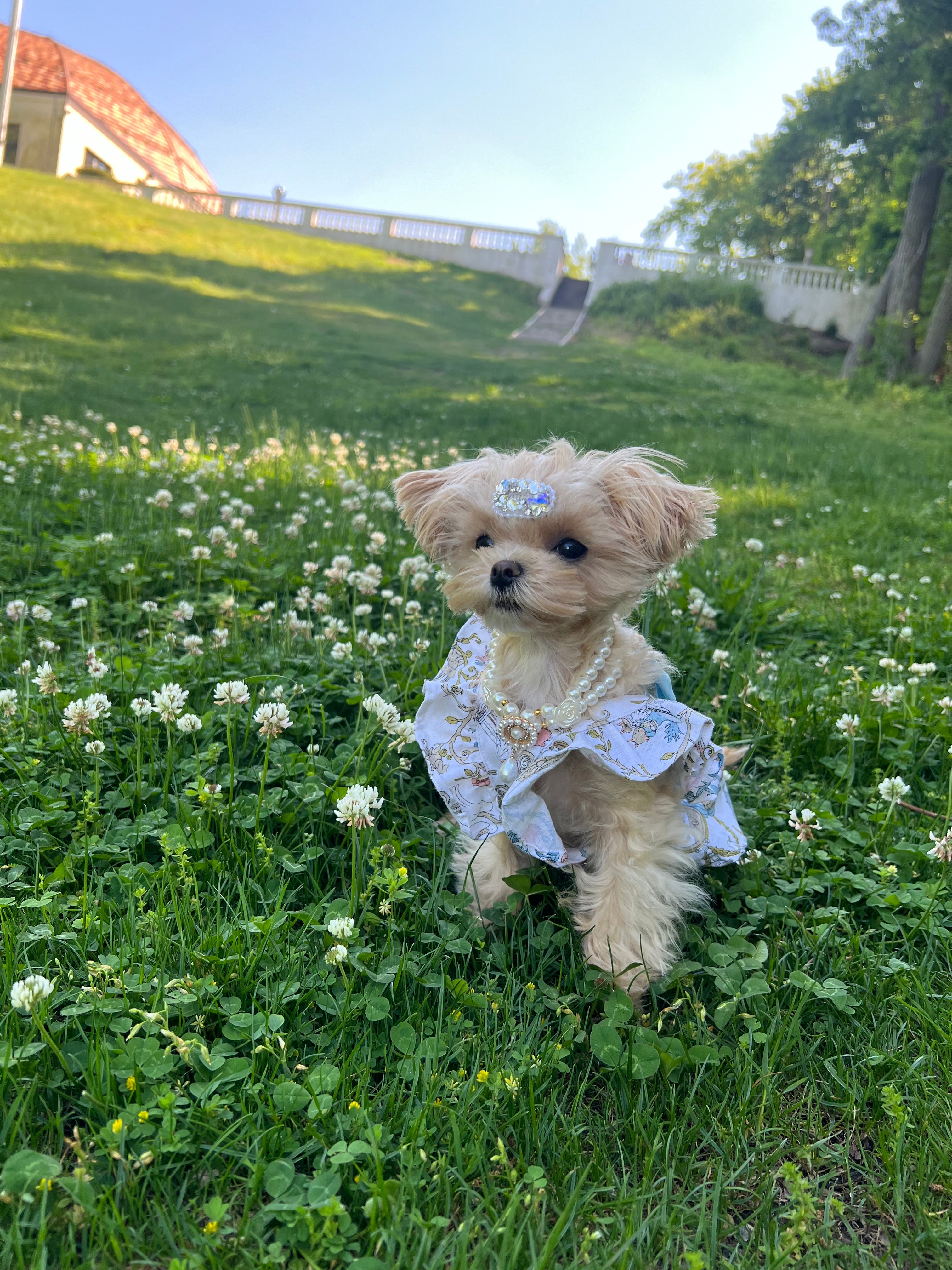 Breeze bliss