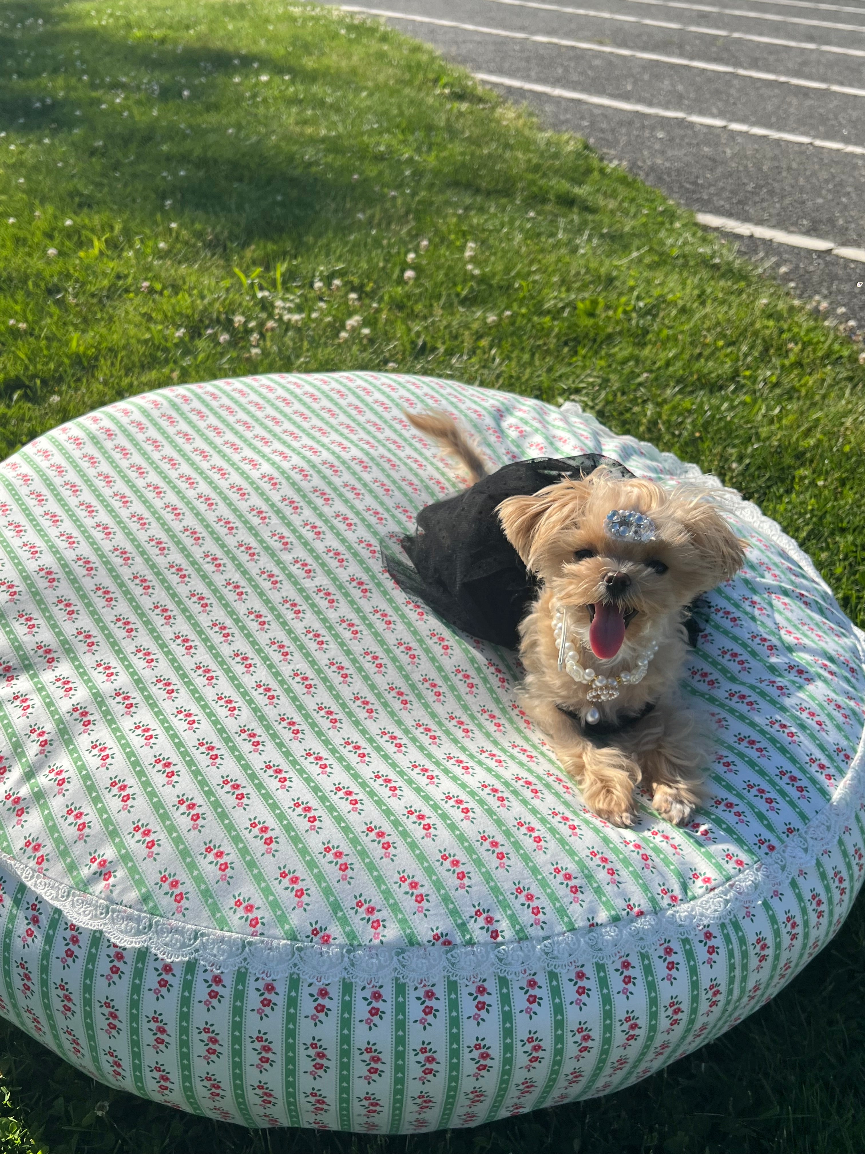 Petal Haven dog bed