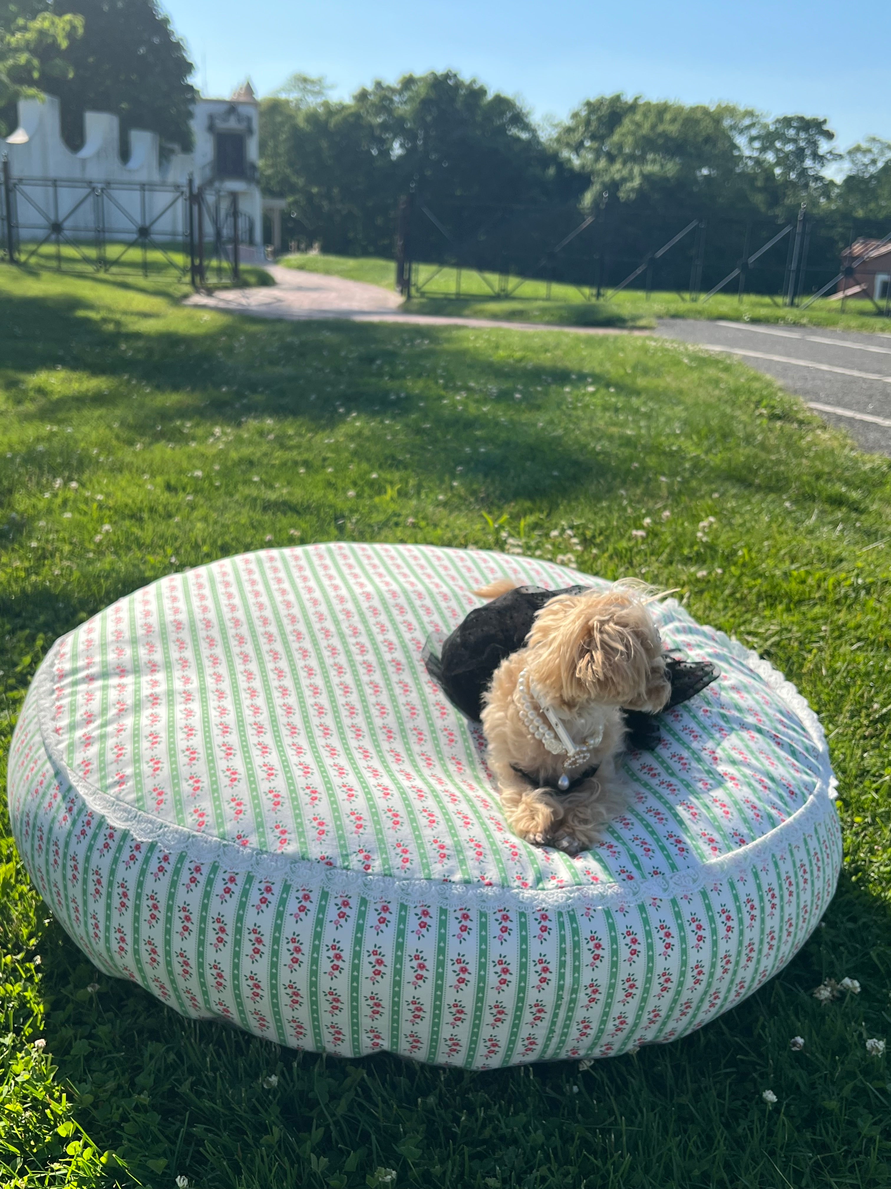 Petal Haven dog bed