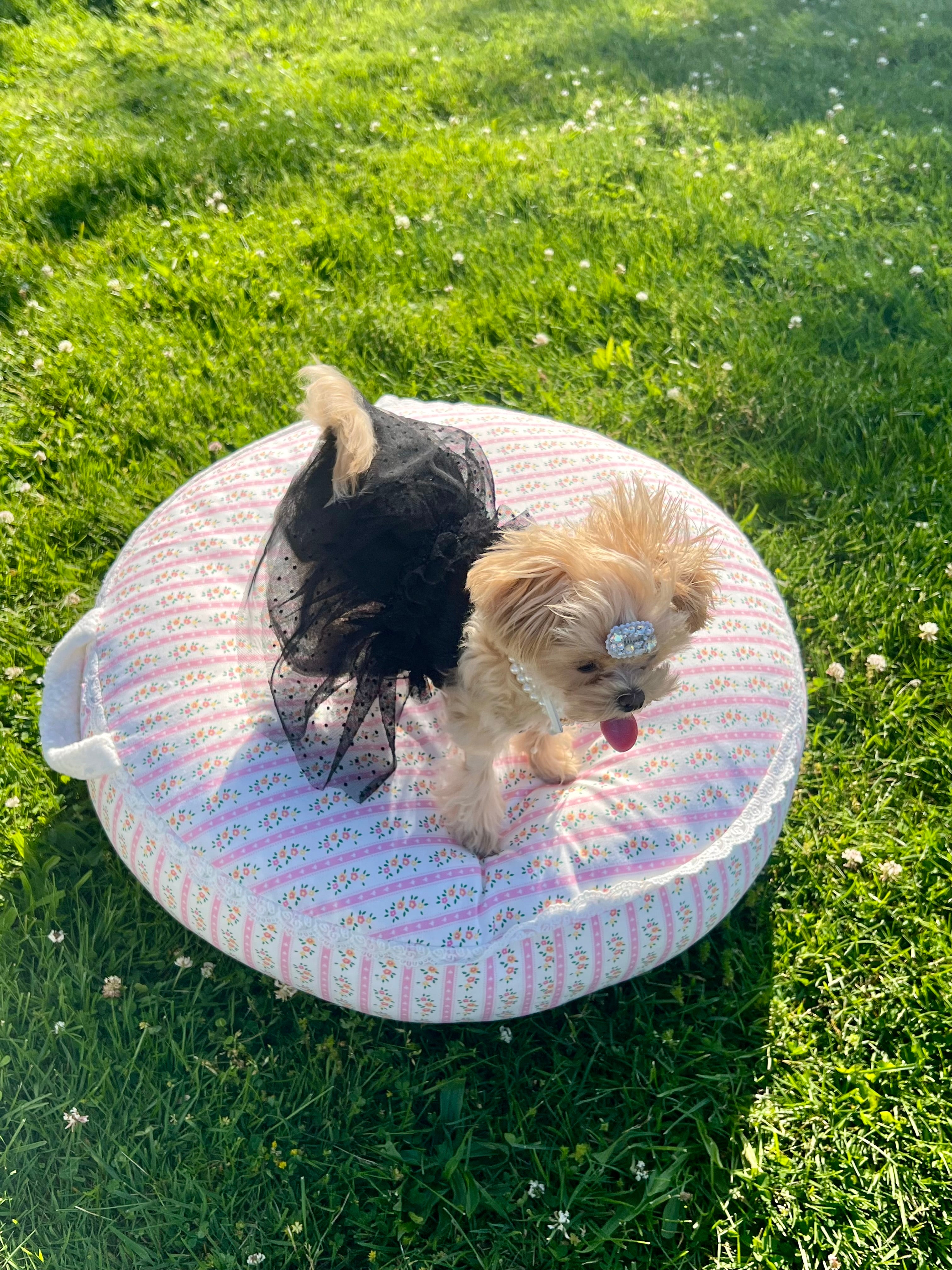 Petal Haven dog bed