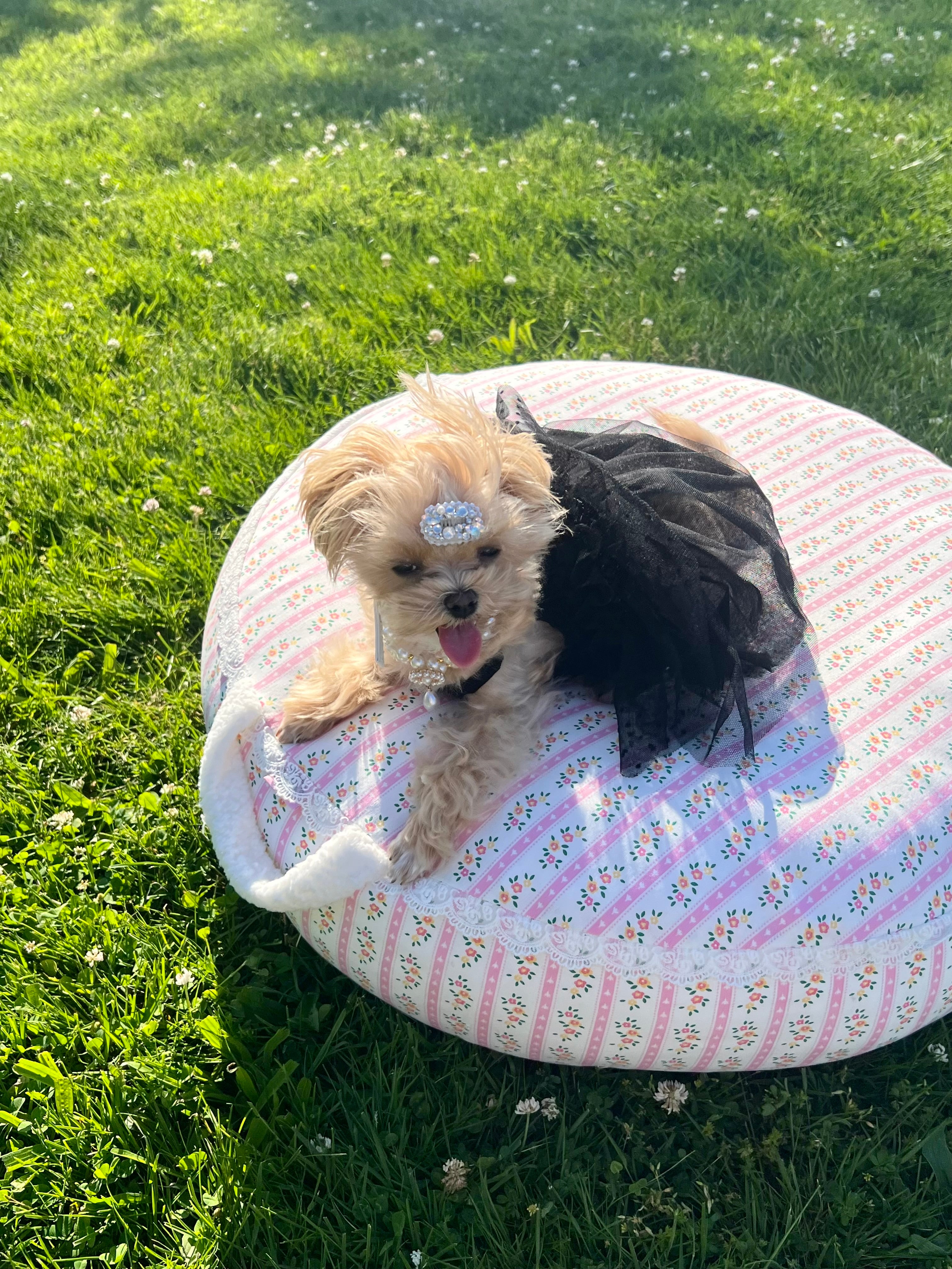 Petal Haven dog bed