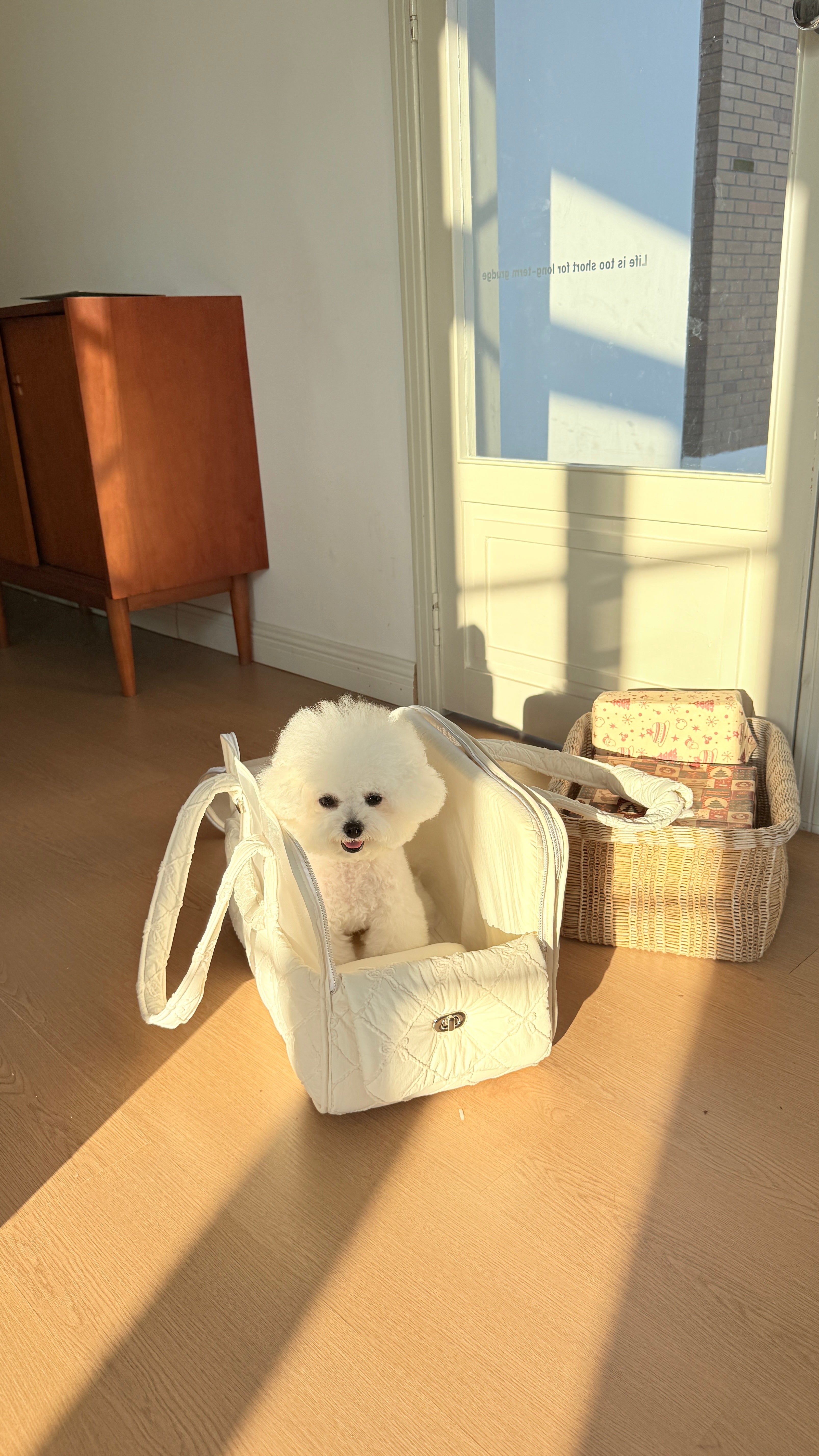 4-in-1 Travel Carrier