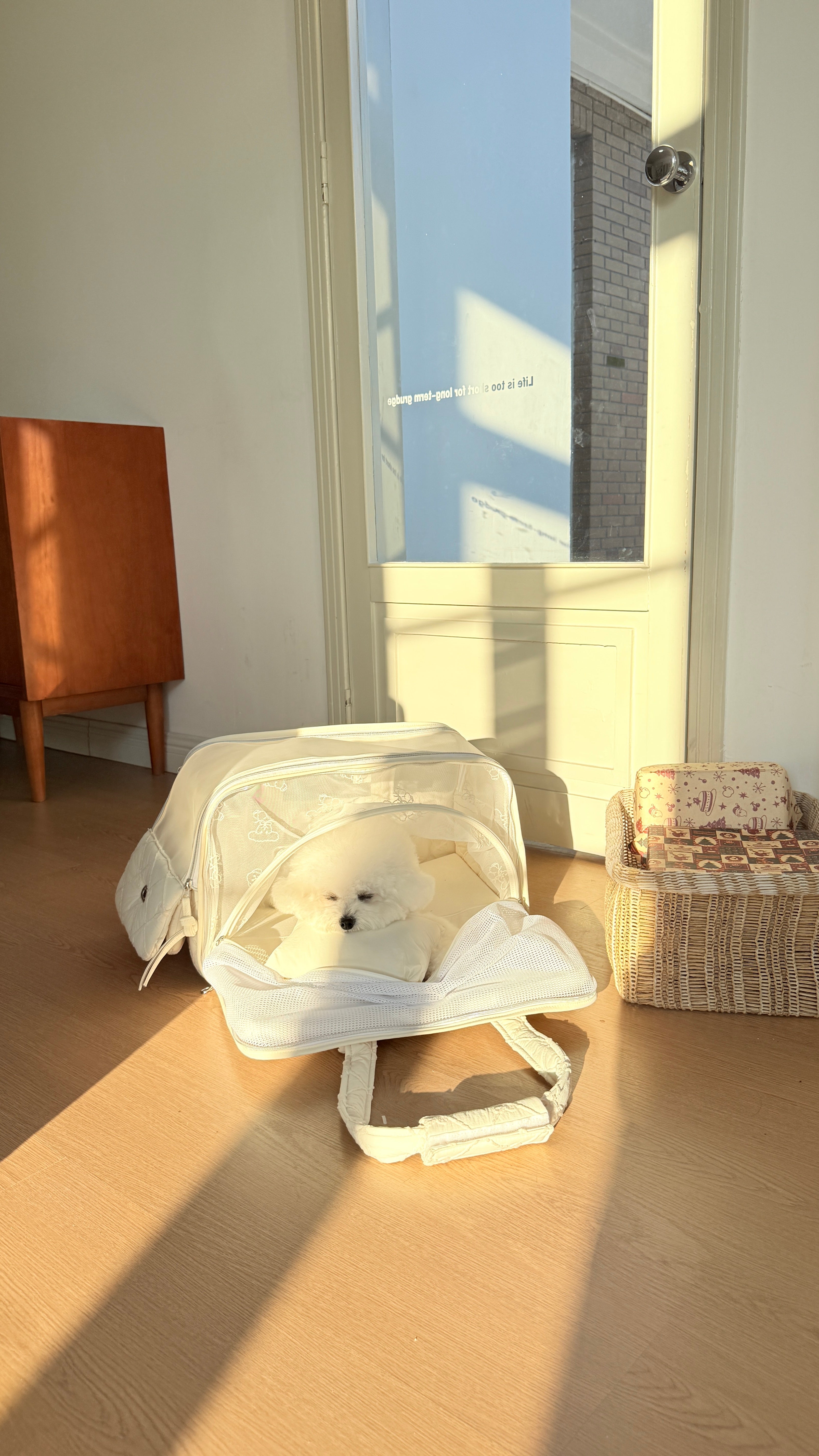 4-in-1 Travel Carrier