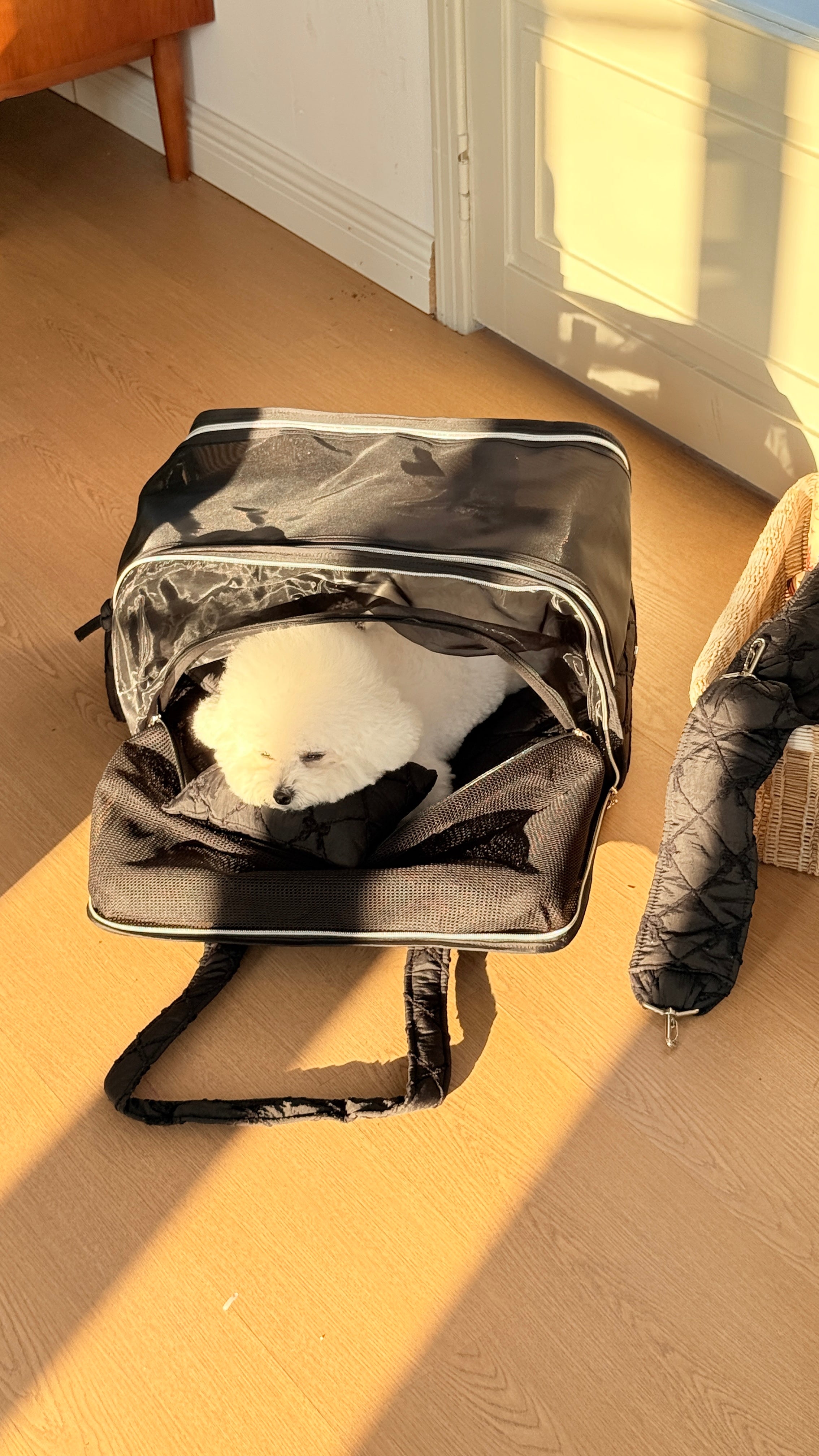 4-in-1 Pet Travel Bag