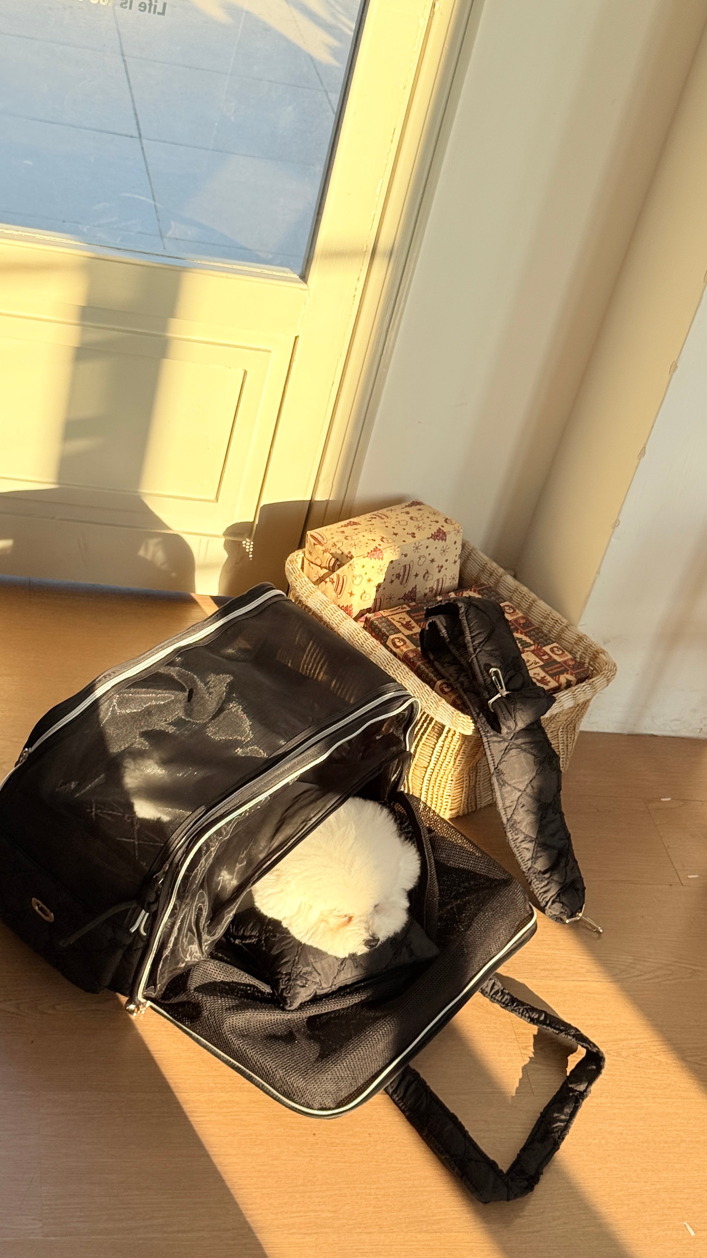 4-in-1 Pet Travel Bag