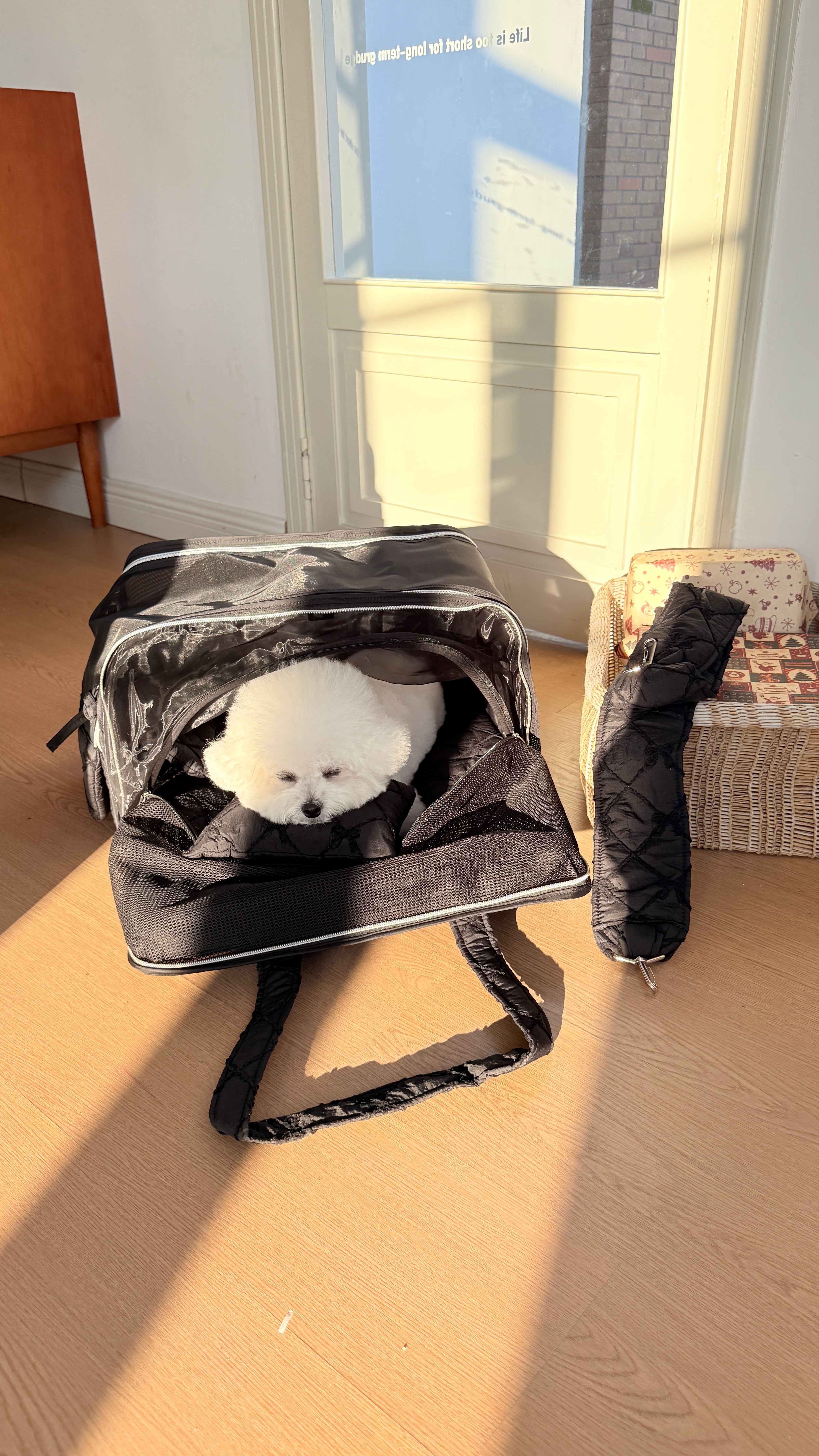 4-in-1 Pet Travel Bag