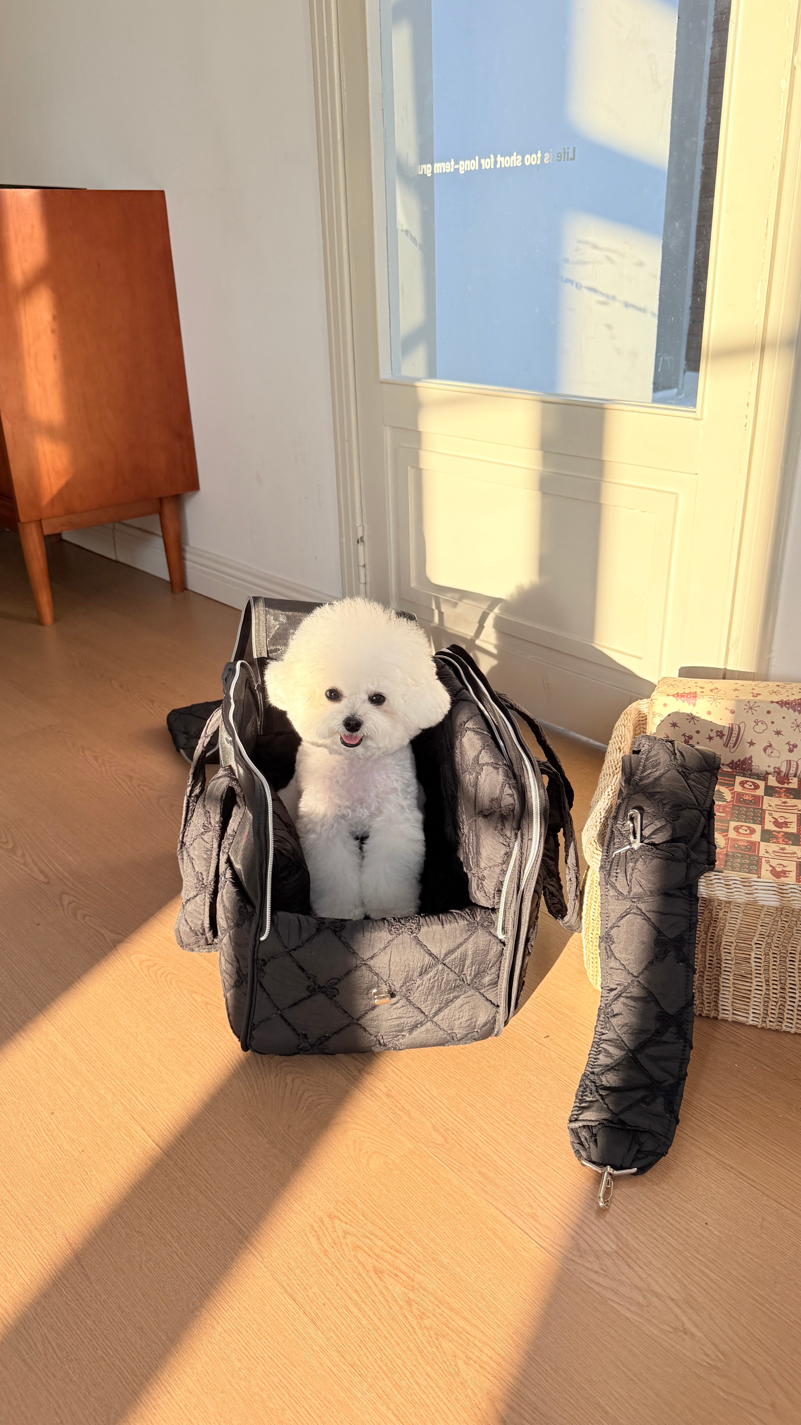 4-in-1 Pet Travel Bag