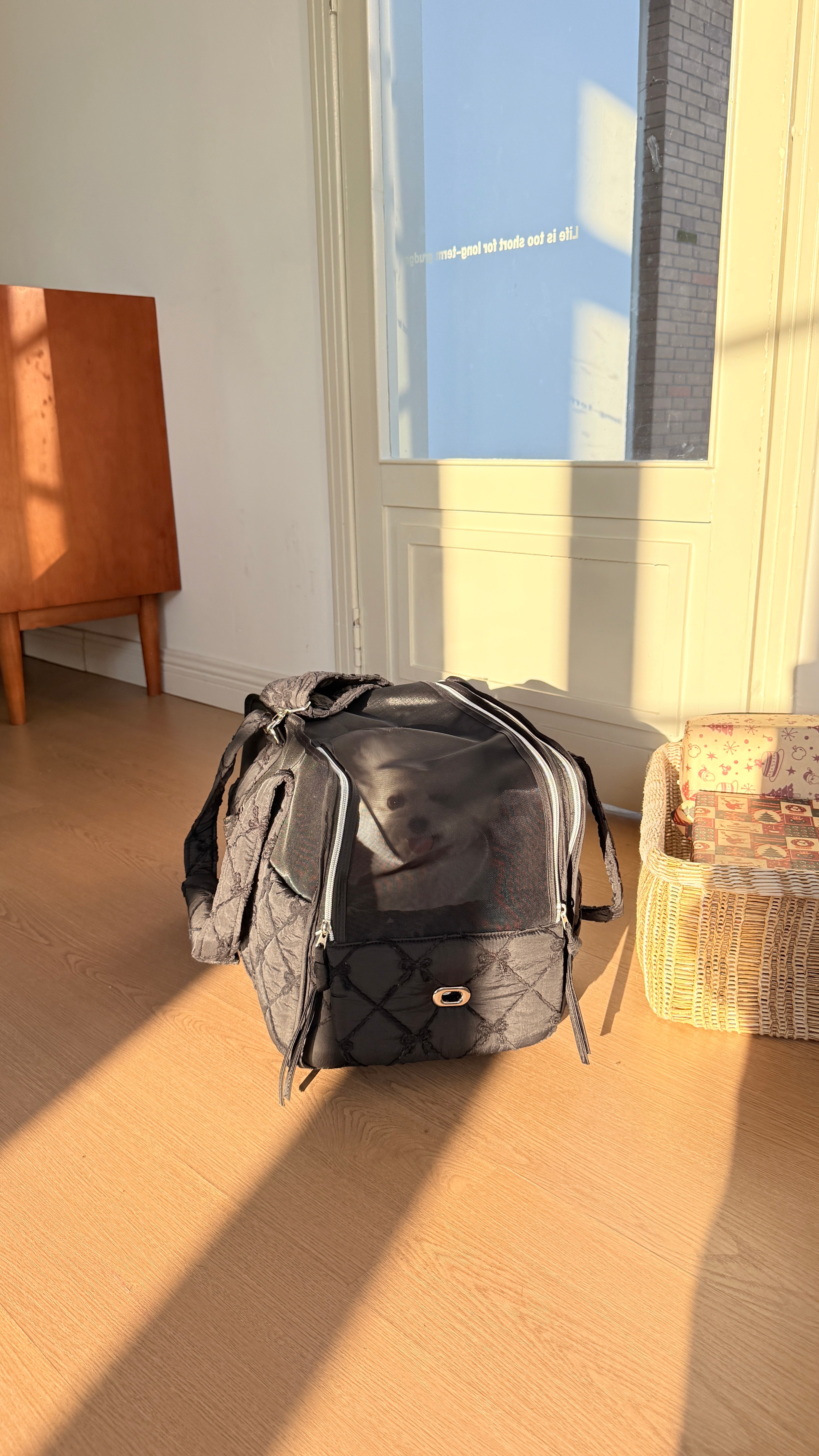 4-in-1 Pet Travel Bag