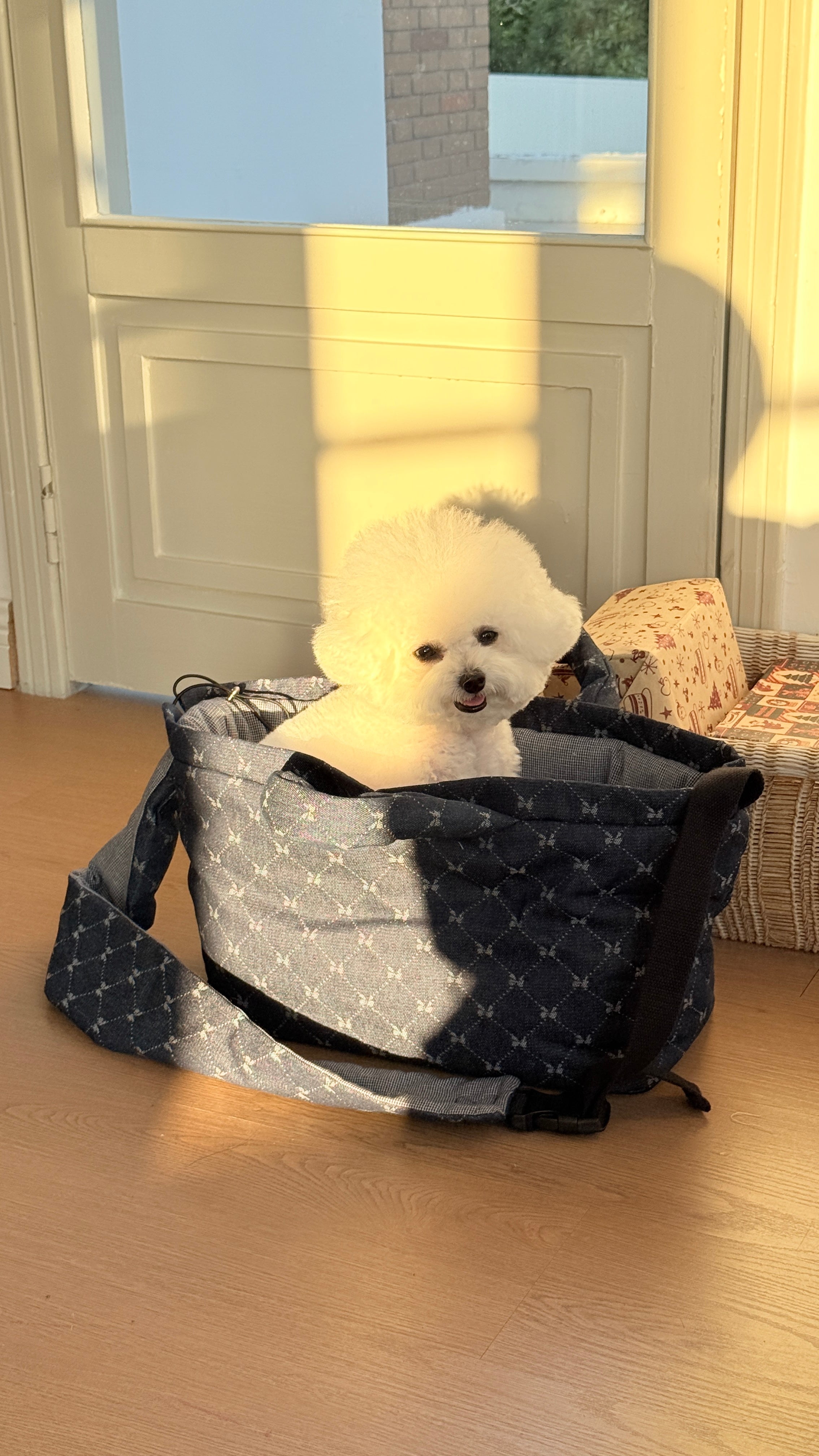 Everyday Paw Sling Bag