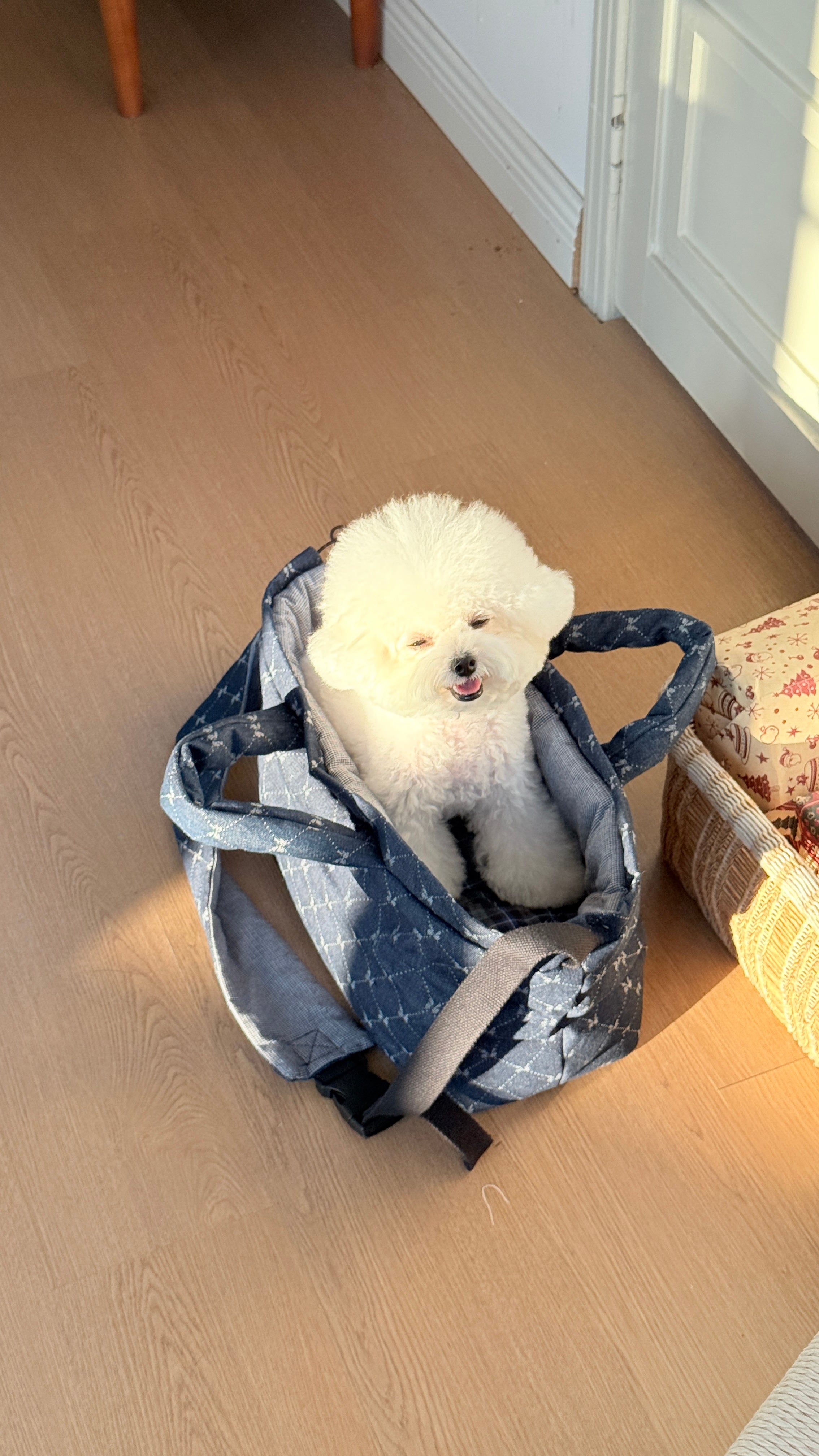 Everyday Paw Sling Bag