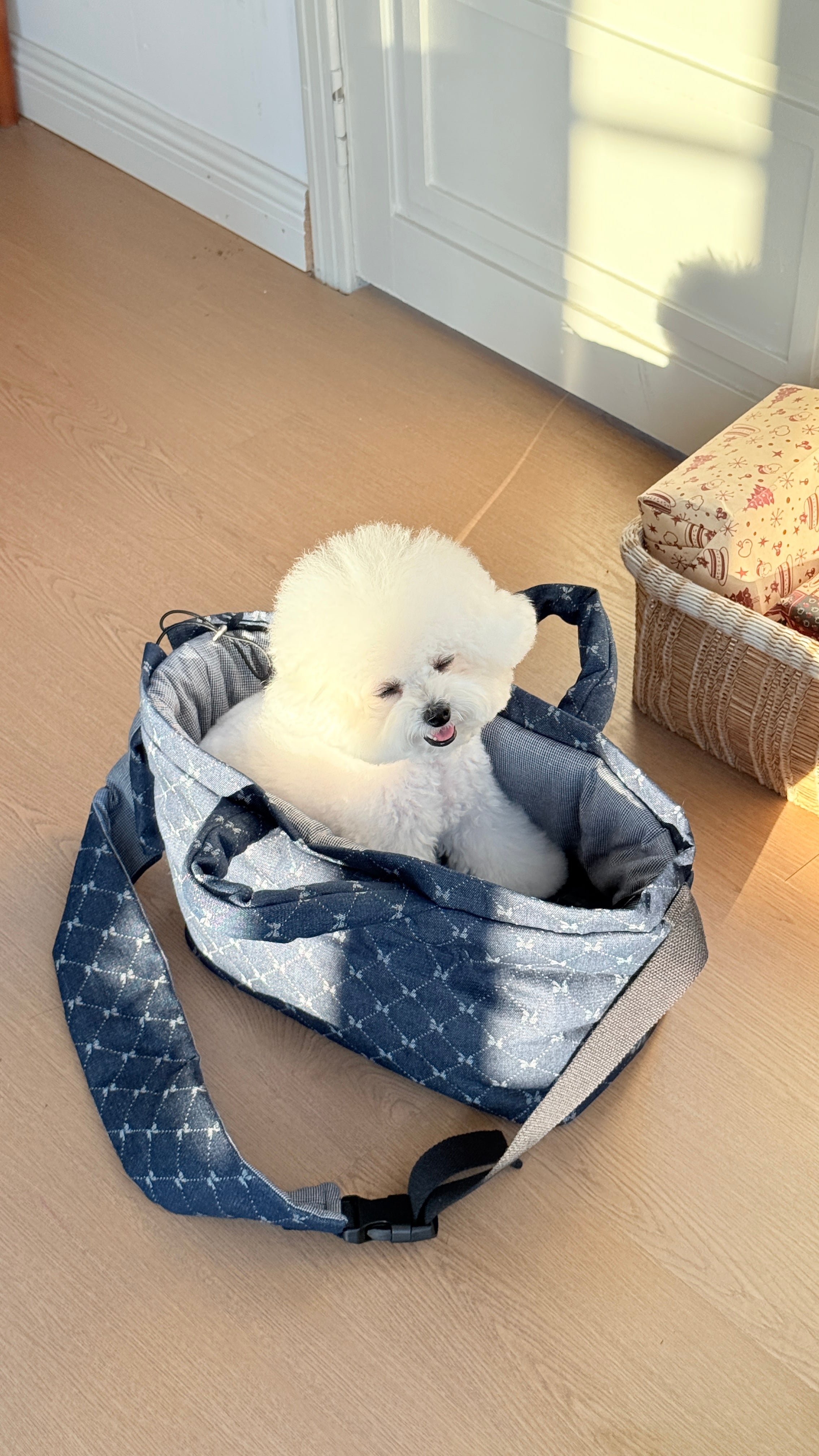 Everyday Paw Sling Bag