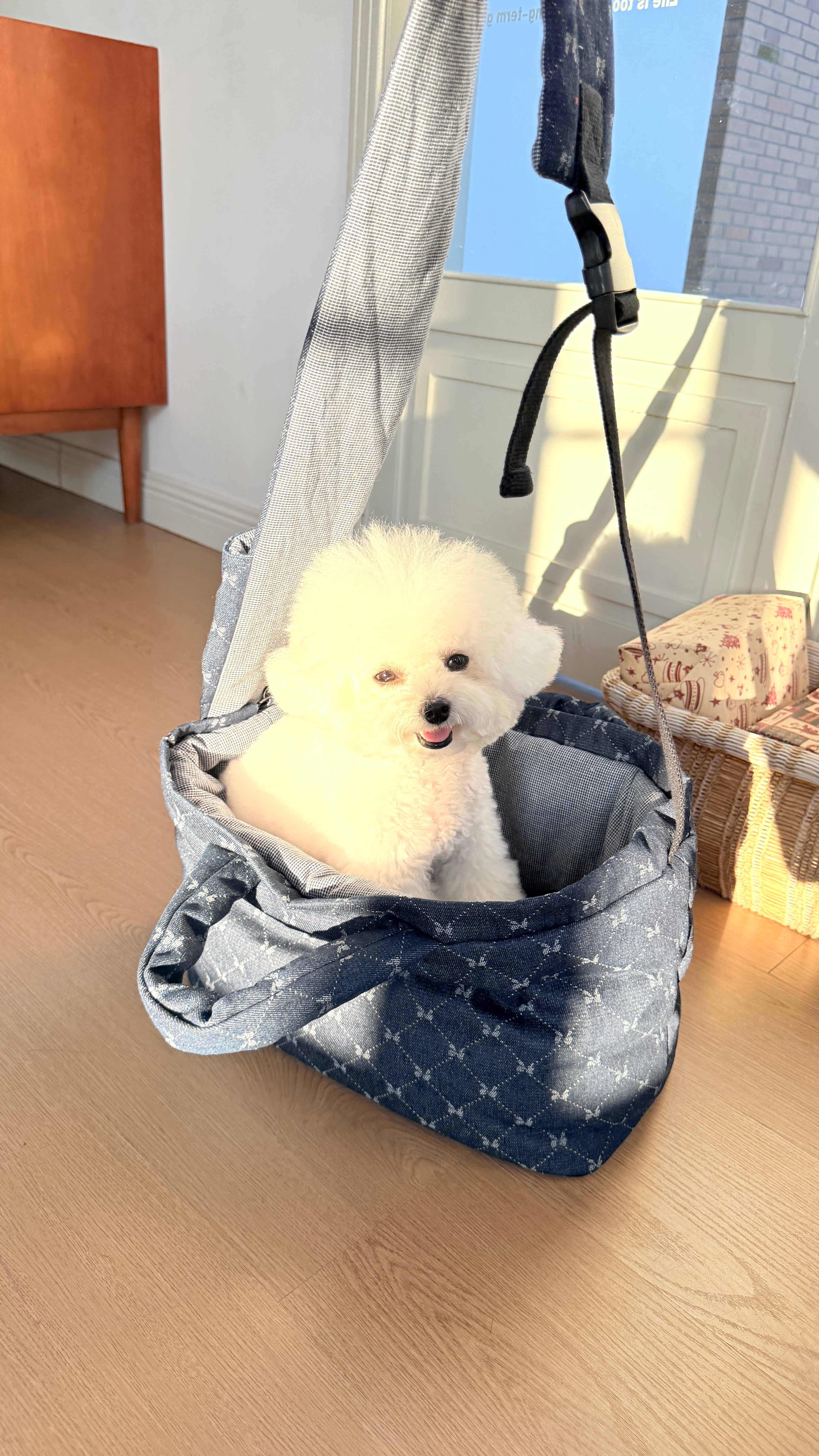 Everyday Paw Sling Bag