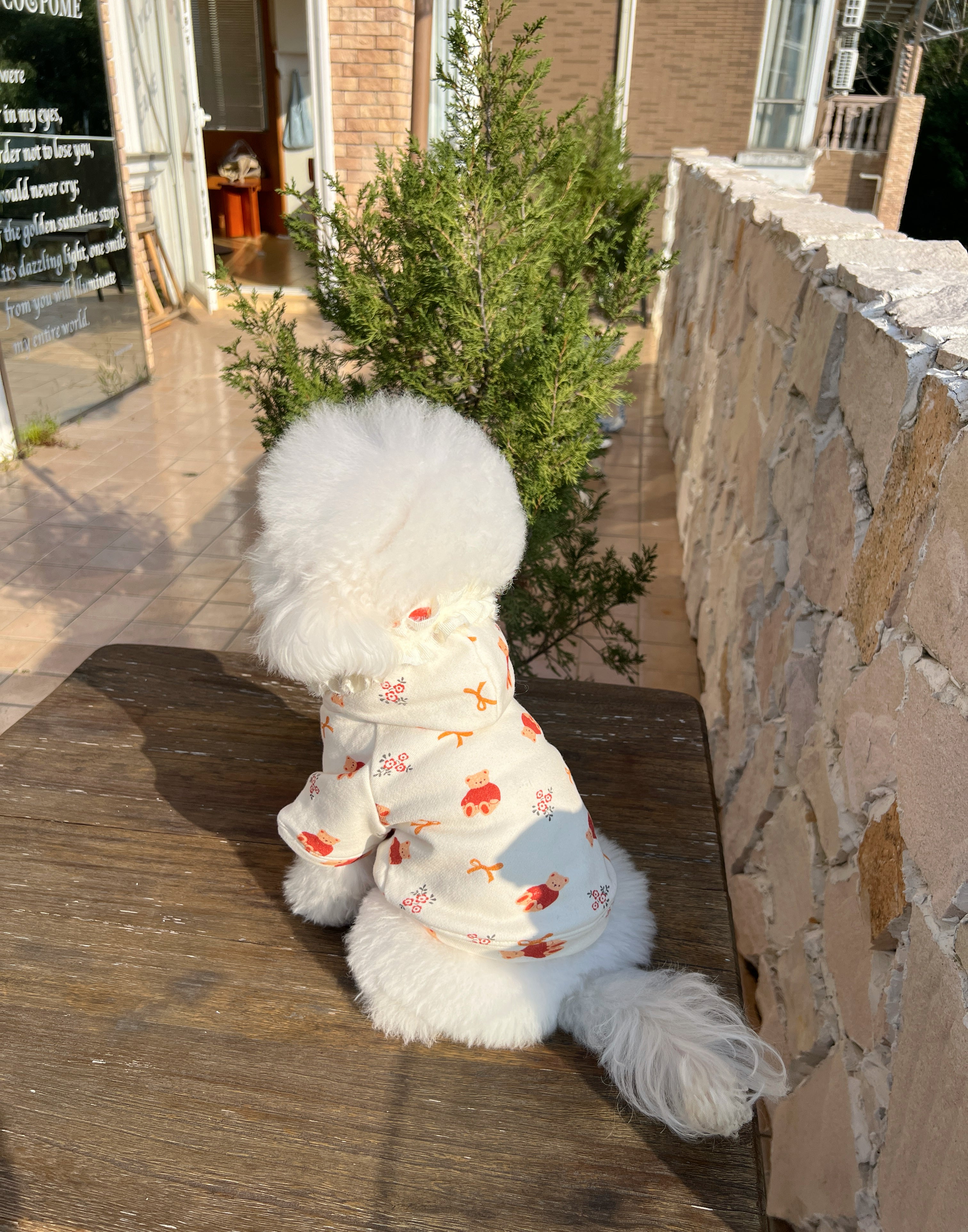FESTIVE BOW BEAR HOODIE
