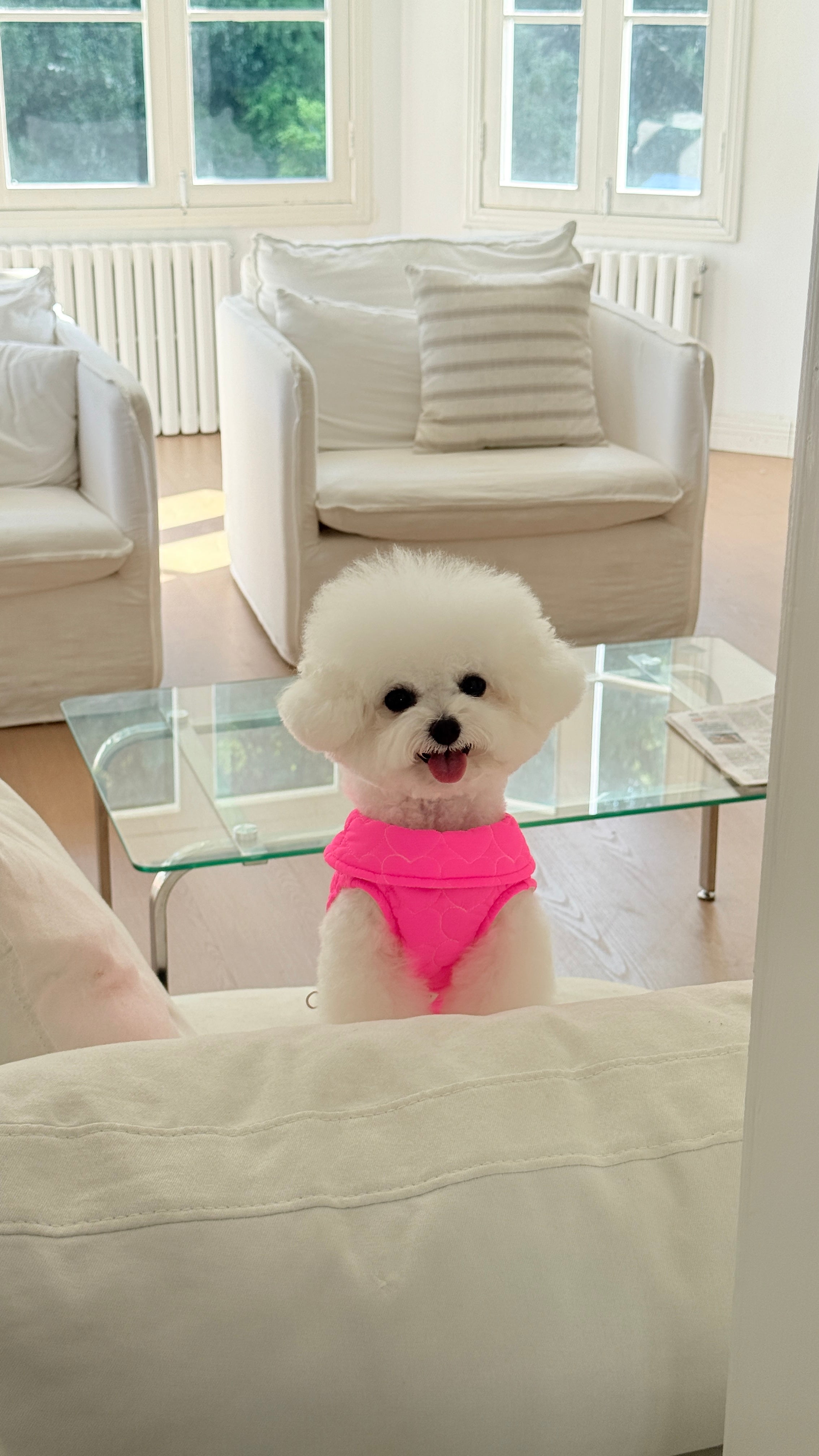 Quilted Water-Resistant Pink Vest