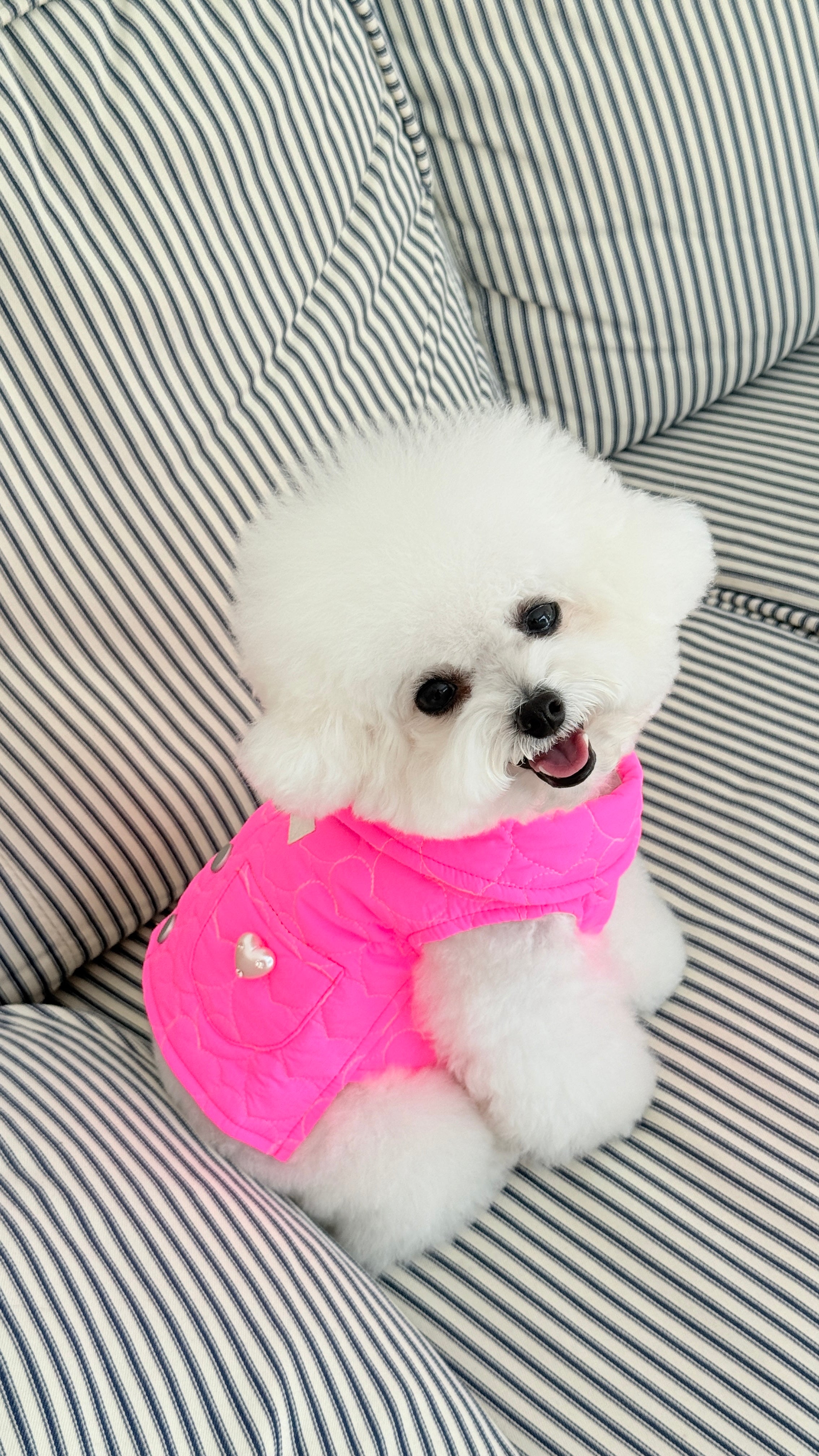 Quilted Water-Resistant Pink Vest