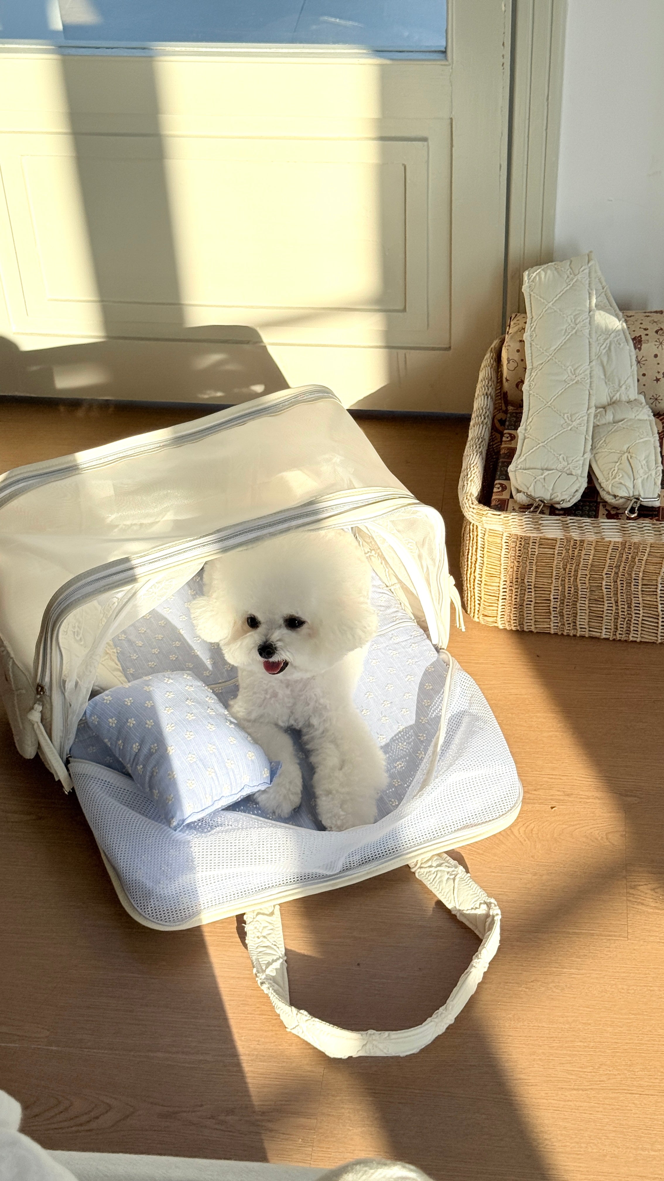 Pup’n’Go 5-in-1 Bag