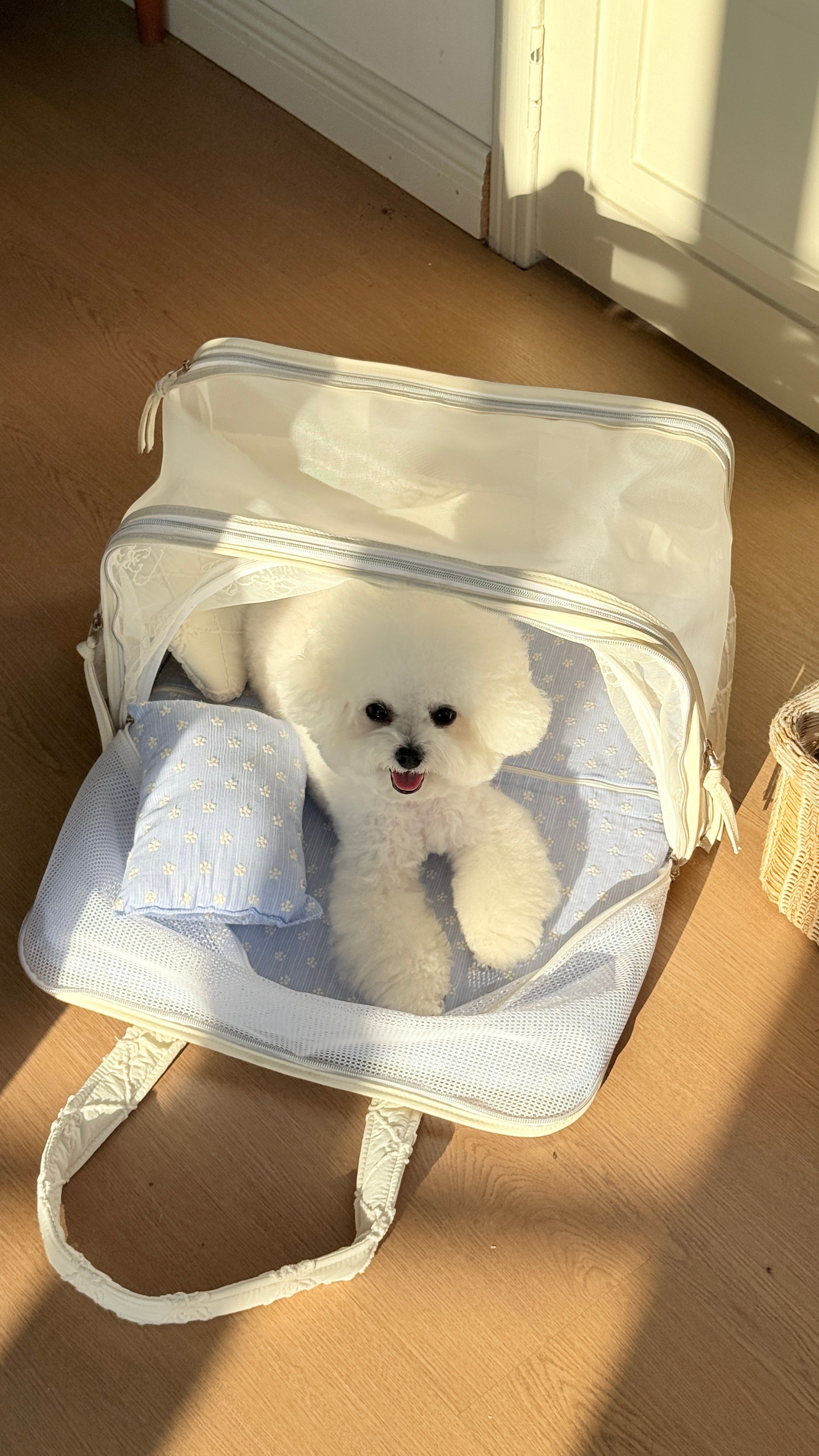 Pup’n’Go 5-in-1 Bag
