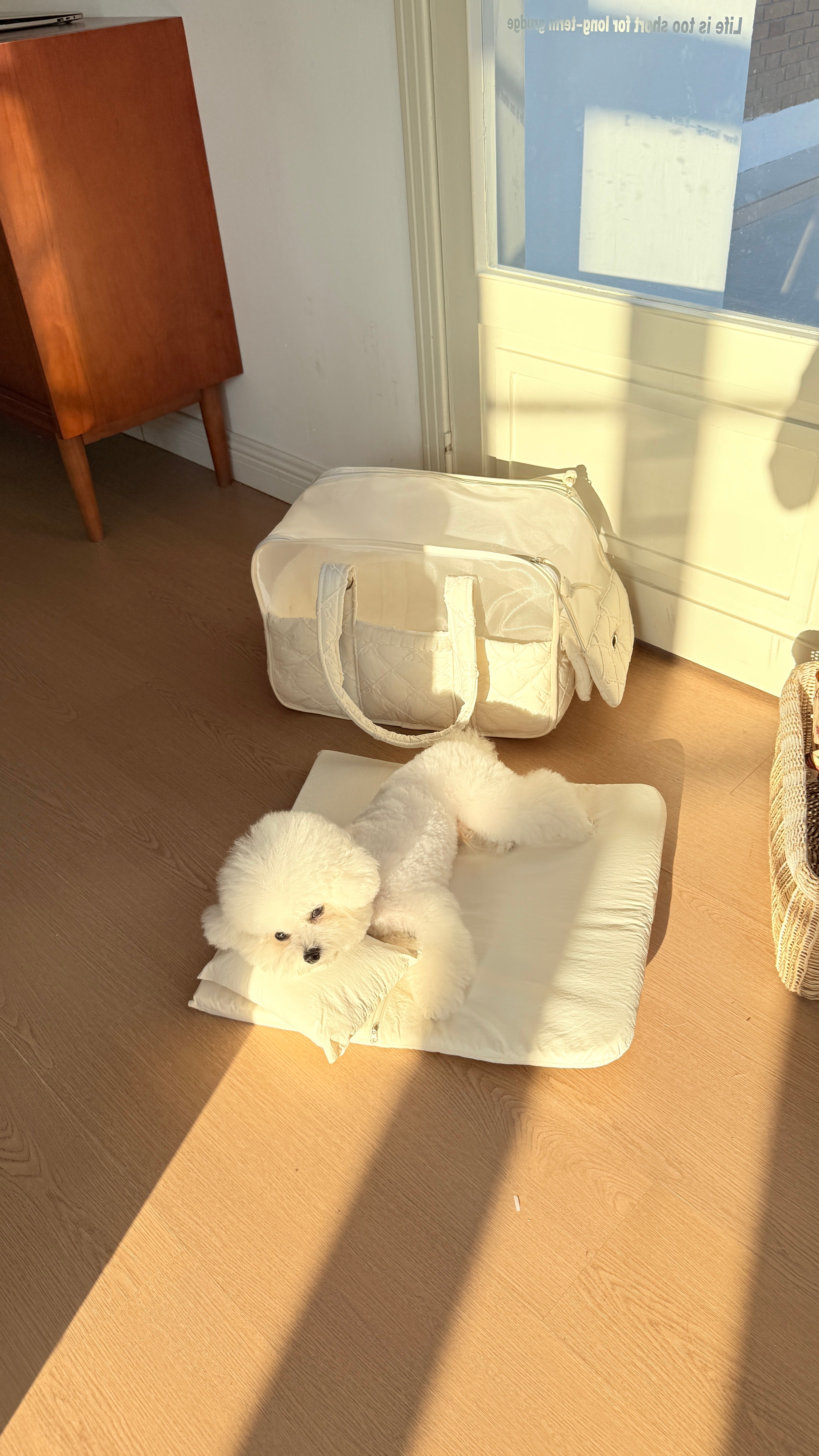 4-in-1 Travel Carrier