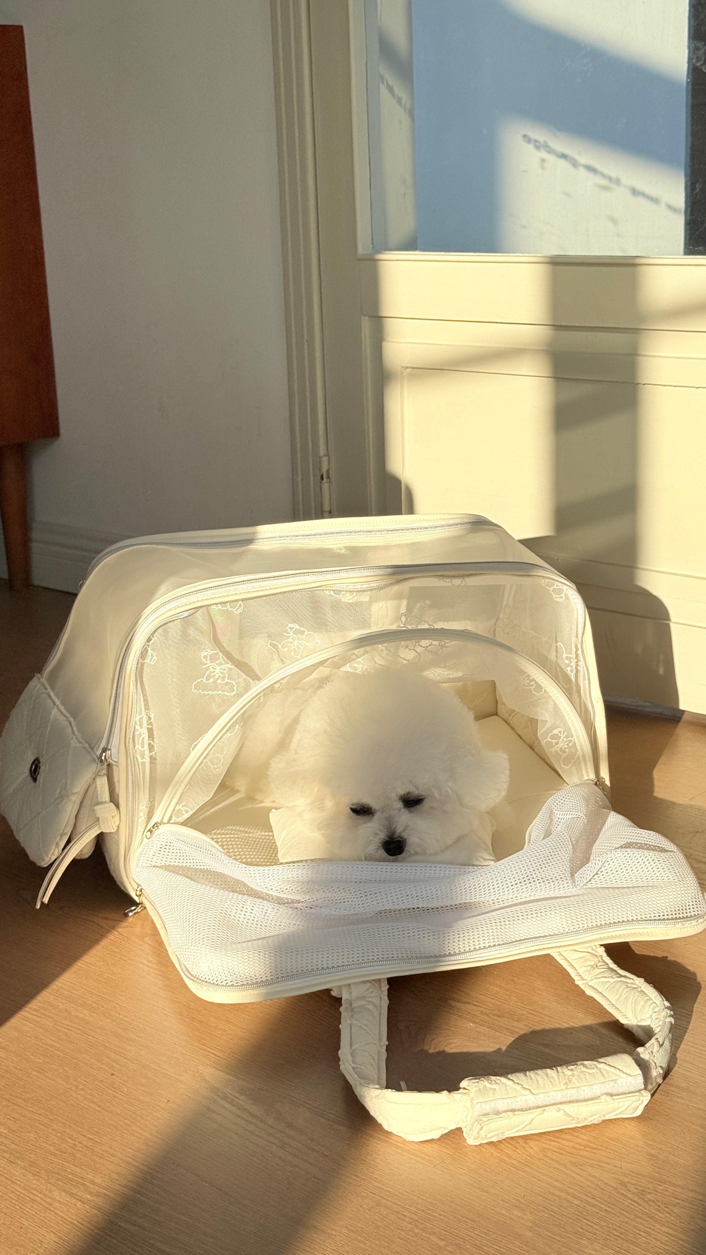 4-in-1 Travel Carrier