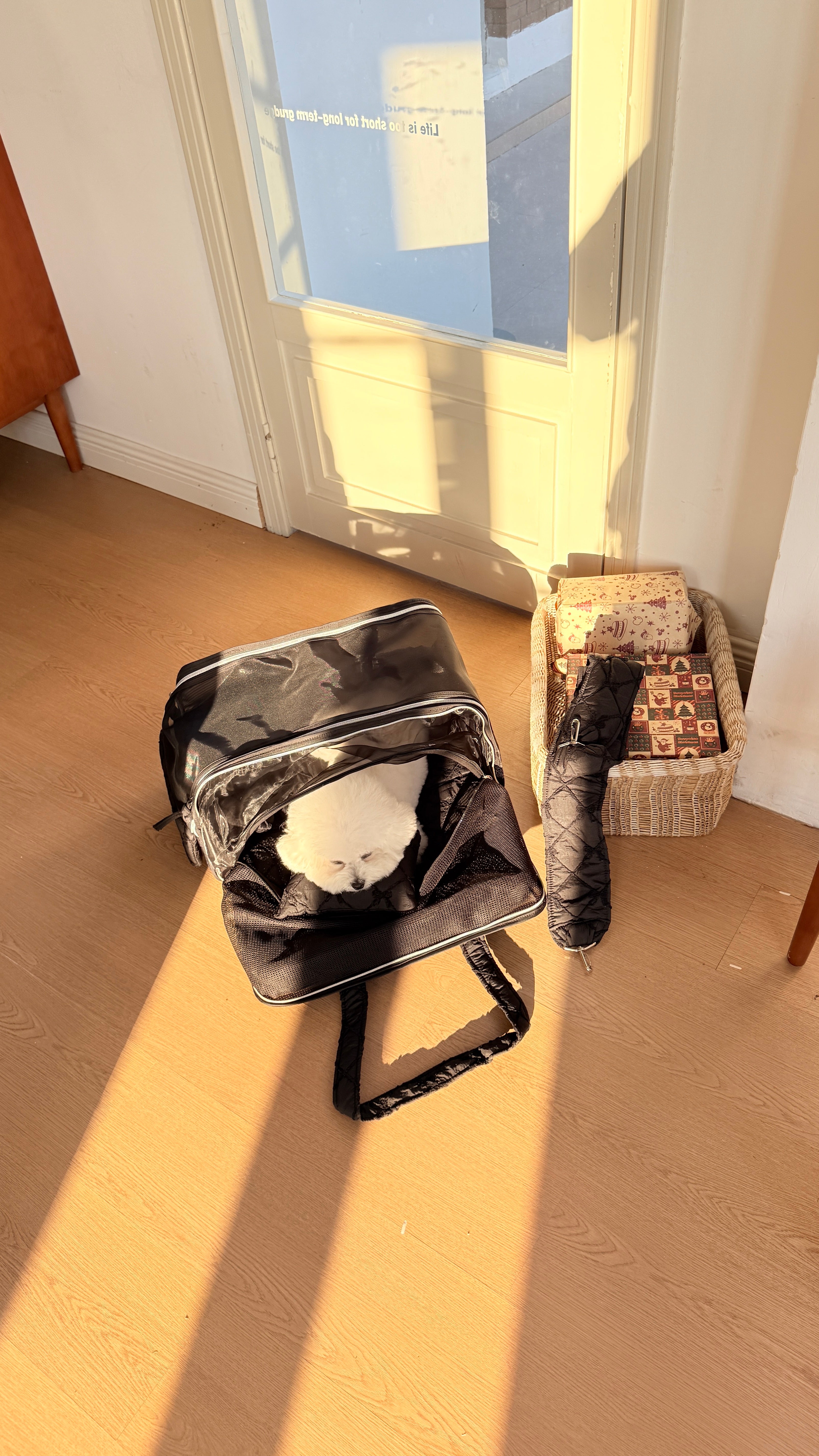 4-in-1 Pet Travel Bag