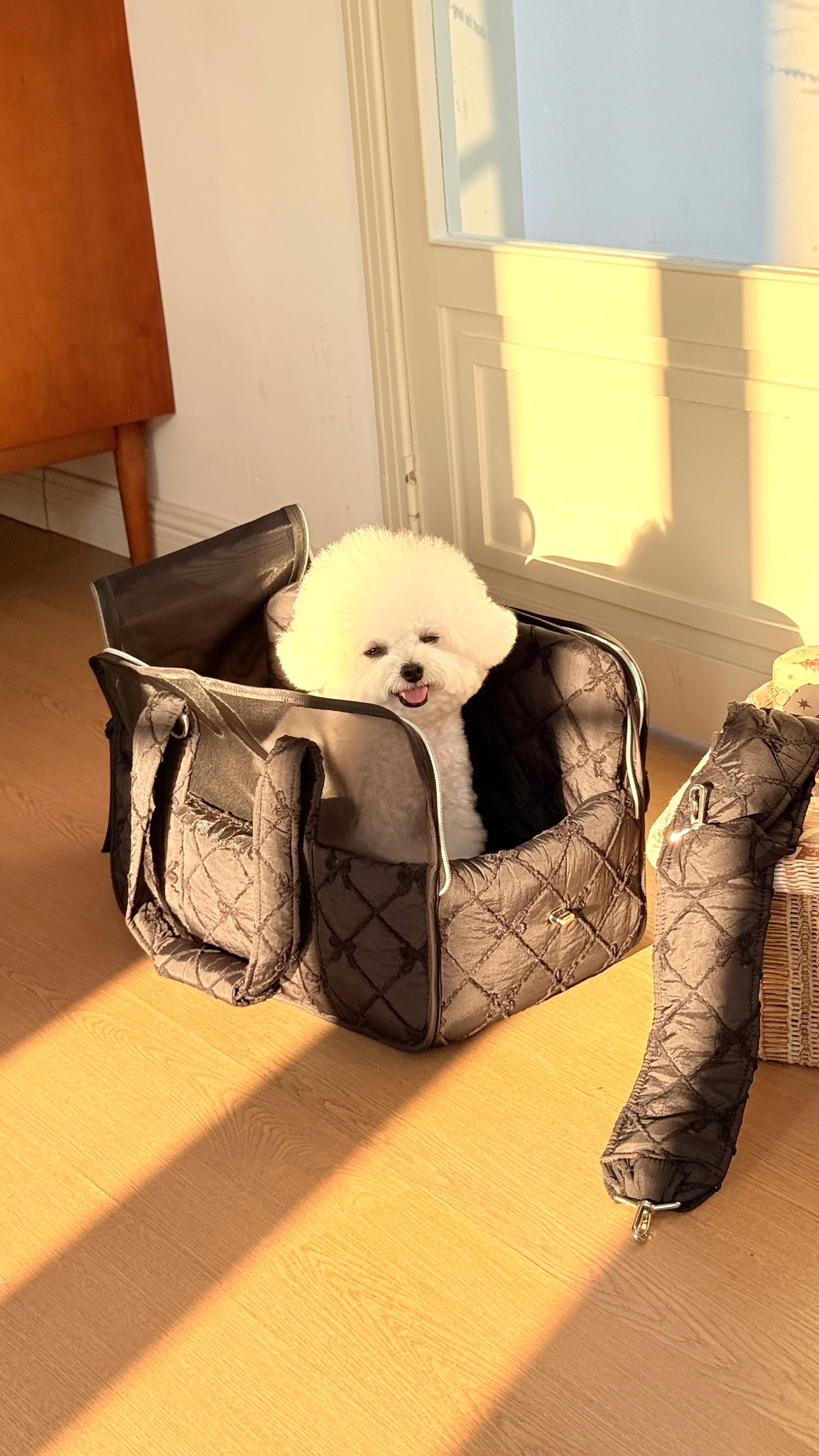 4-in-1 Pet Travel Bag