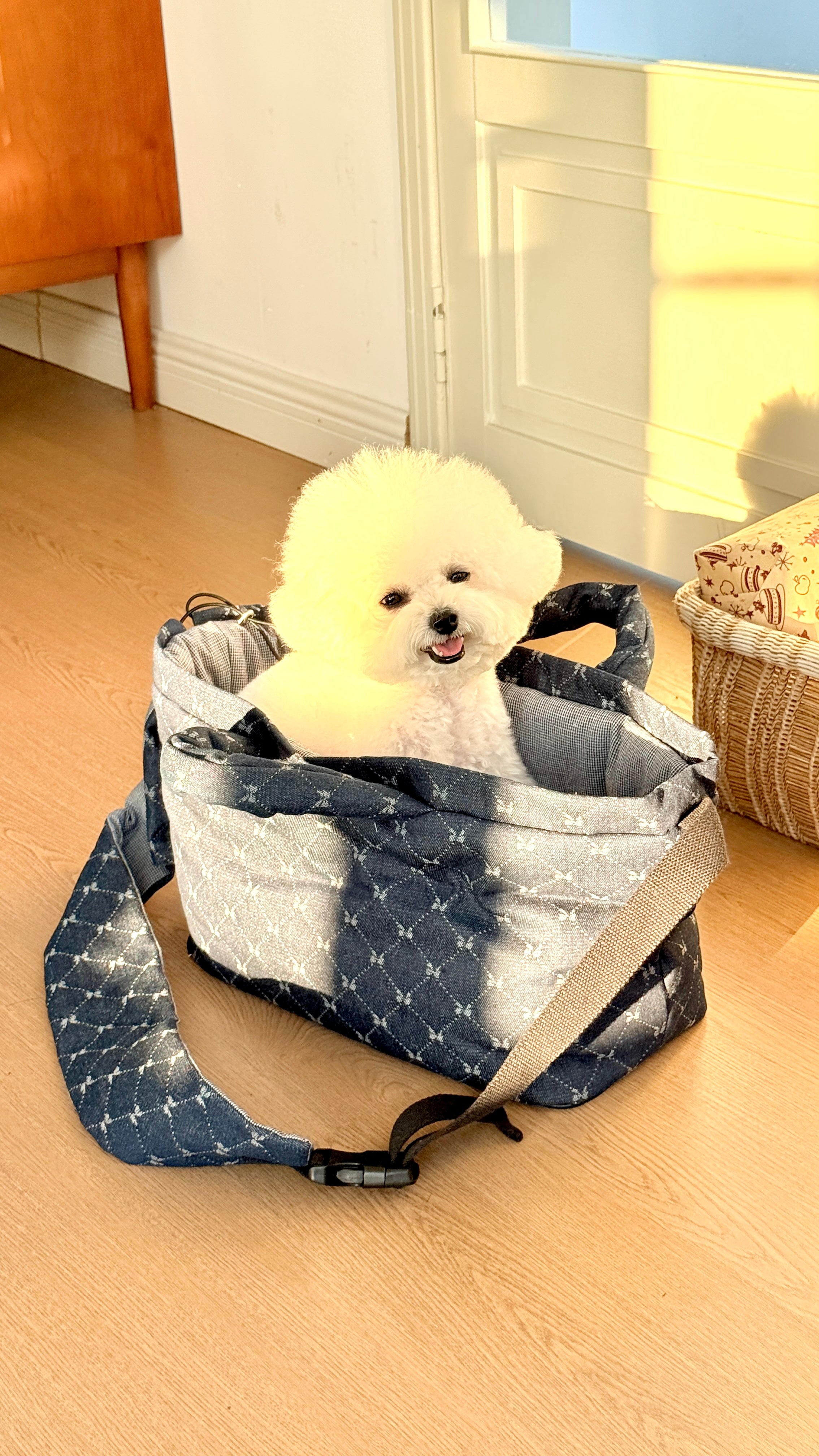 Everyday Paw Sling Bag