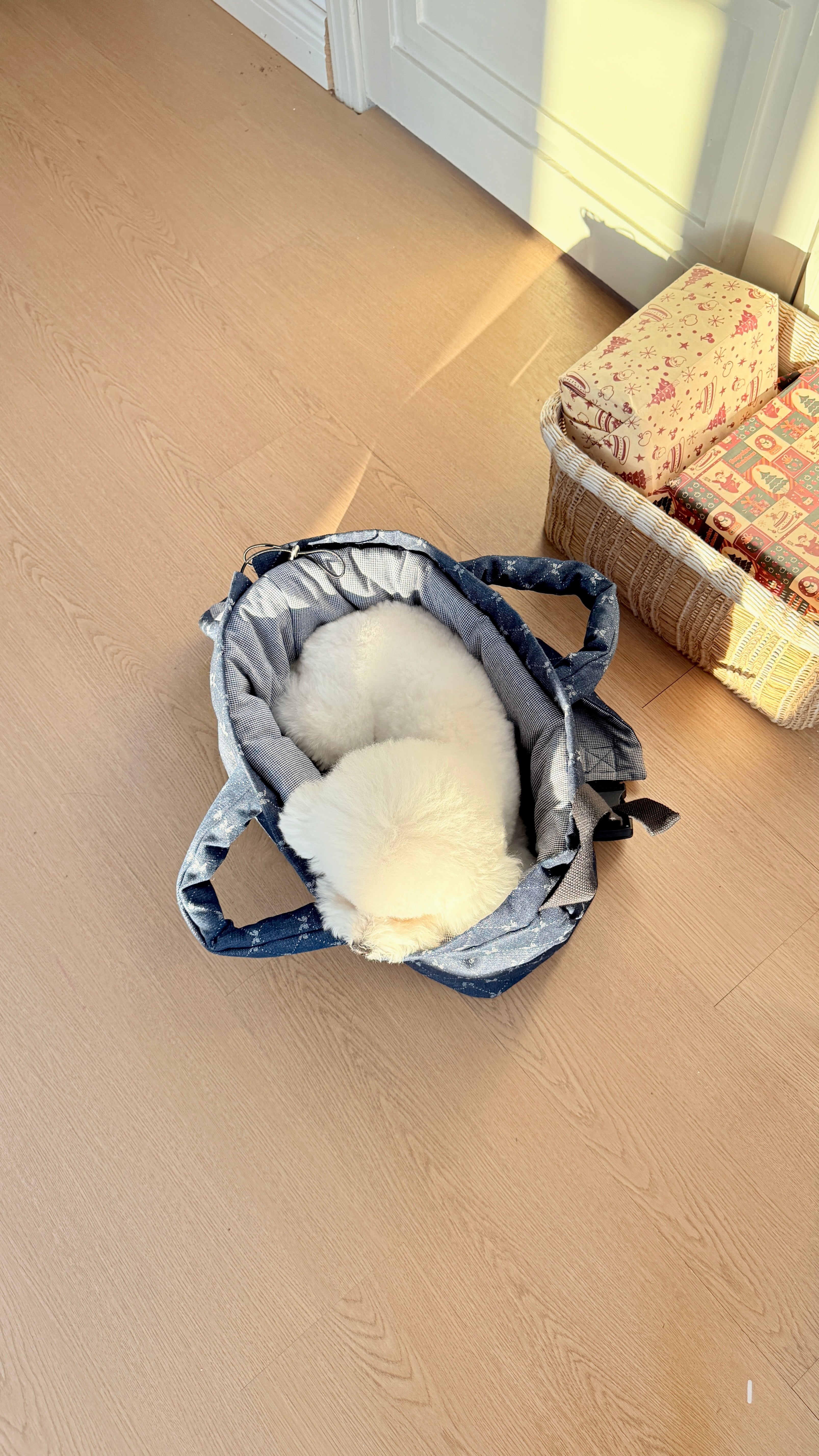 Everyday Paw Sling Bag